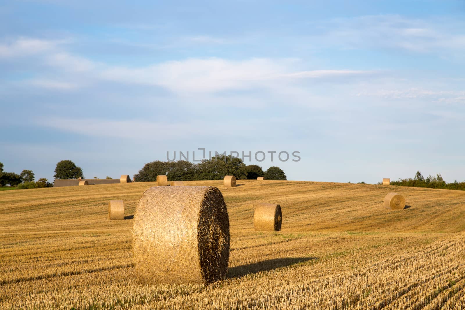 Hay bales after harvest on a field on the countryside in Northern Zealand, Denmark