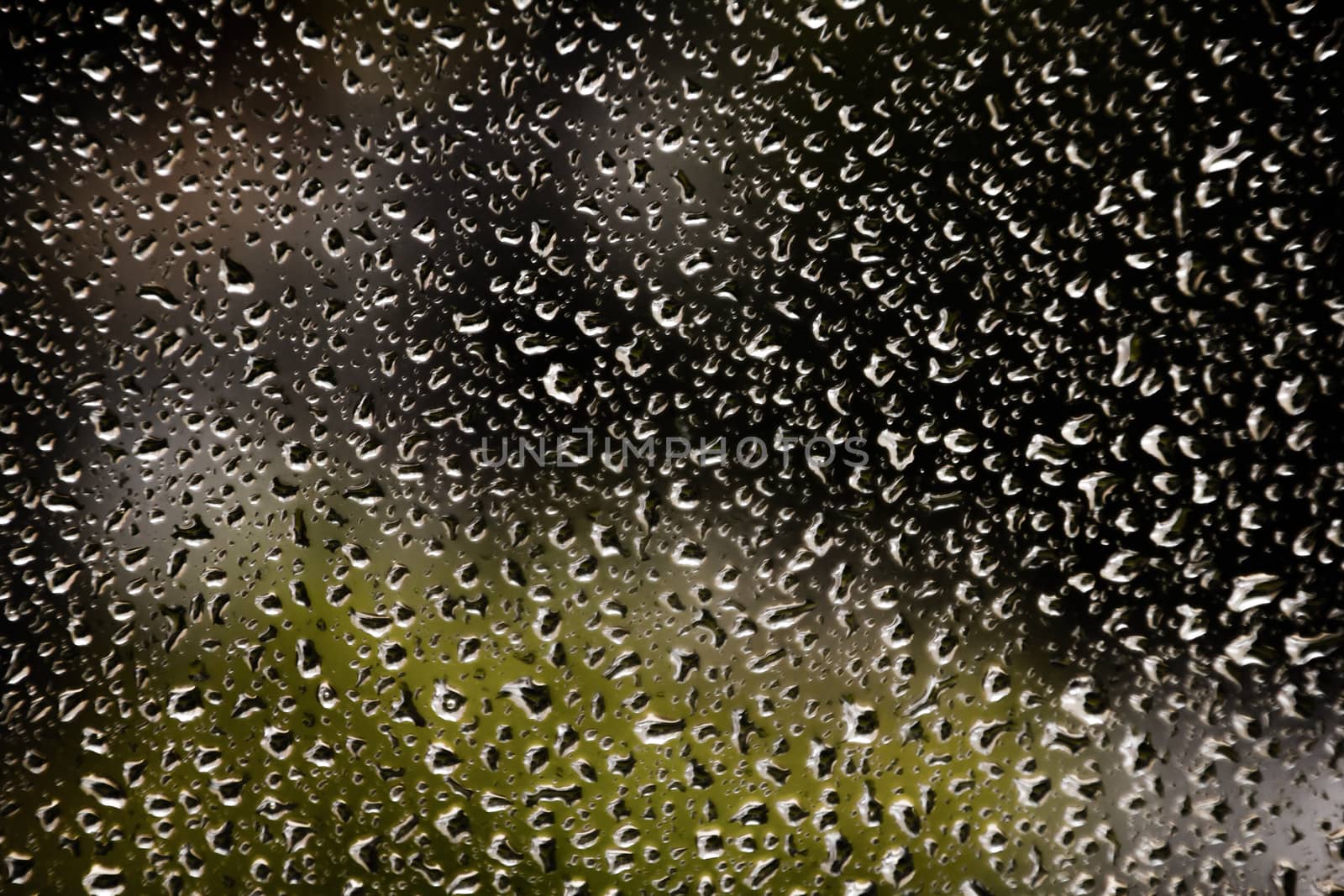 drops of water in the window on rainy day by Joanastockfoto