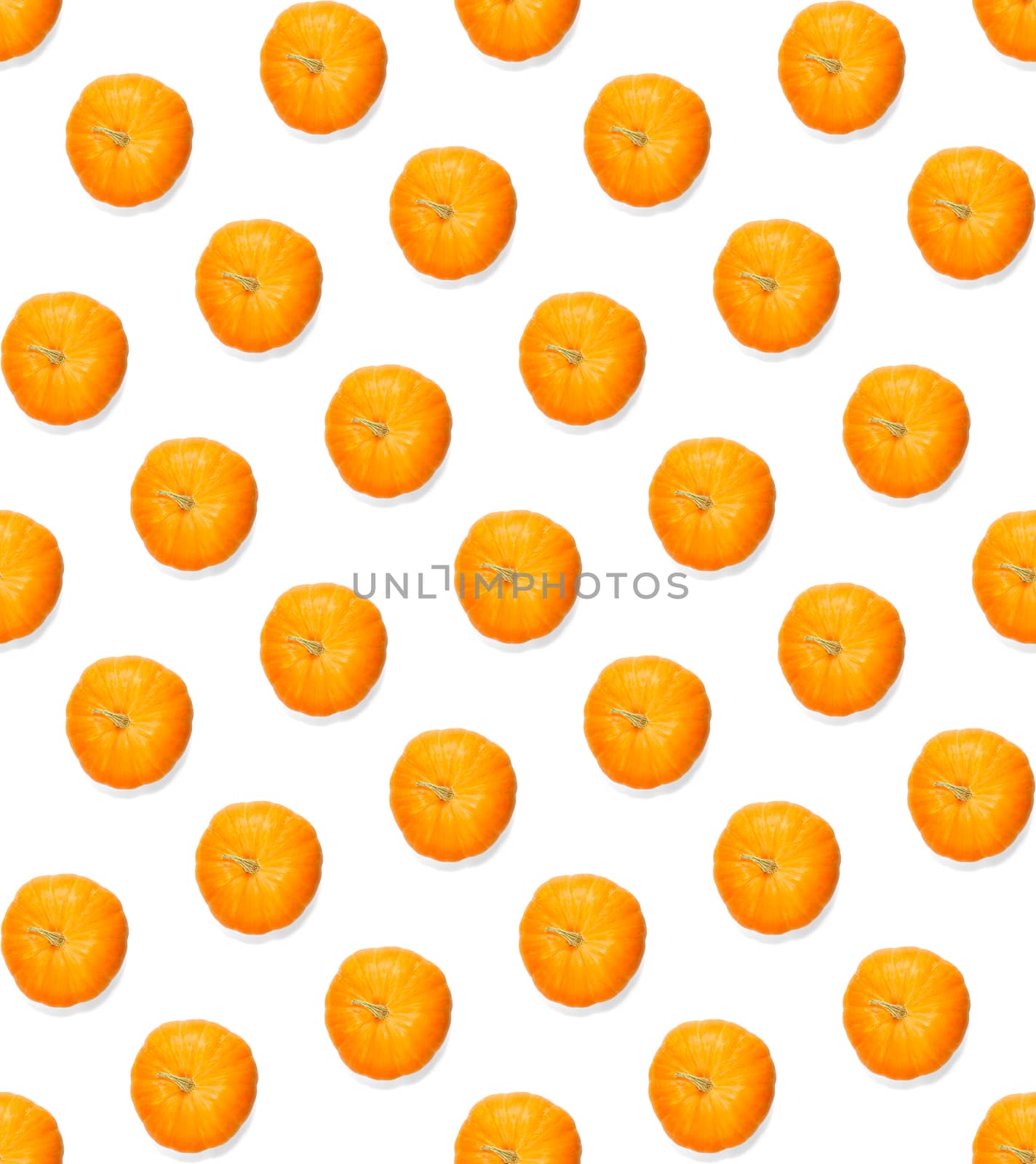 Seamless pattern with pumpkin. Pumpkin quality pattern. Autumn abstract seamless pattern made from Pumpkins on the white background.
