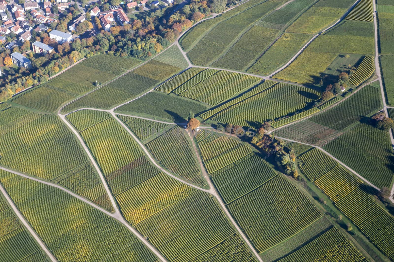 Aerial view of vineyards during autumn in Baden-Wurttemberg in Southern Germany.