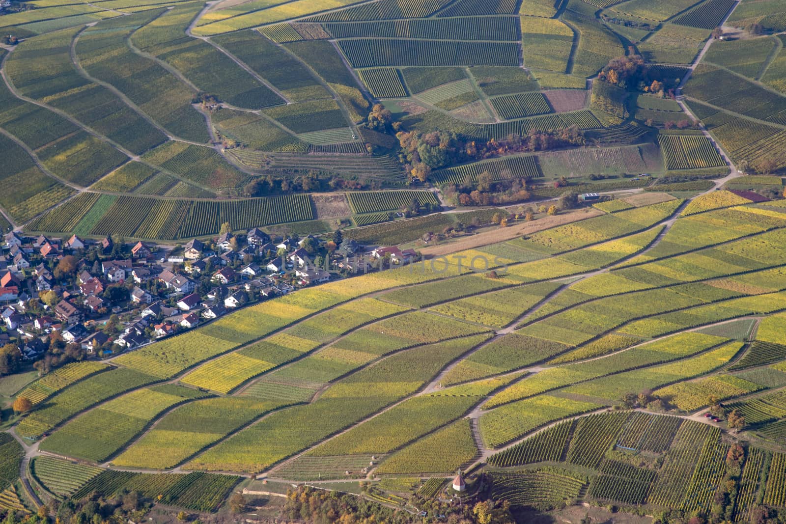 Aerial view of vineyards during autumn in Baden-Wurttemberg in Southern Germany.