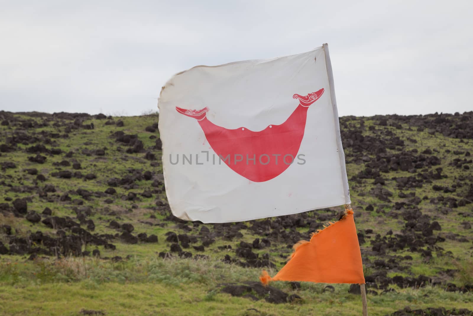 Photograph of the flag of Easter Island