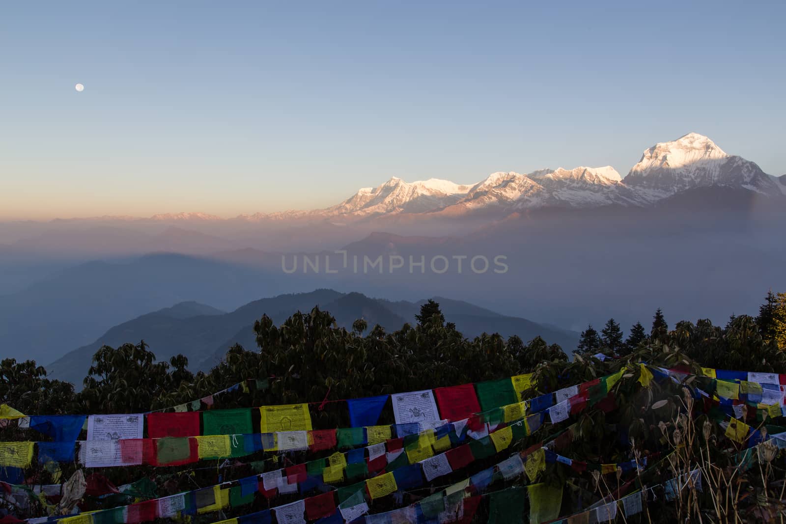 Sunrise and full moon with view of Dhaulagiri mountain from Poon Hill on the Annapurna Circuit.