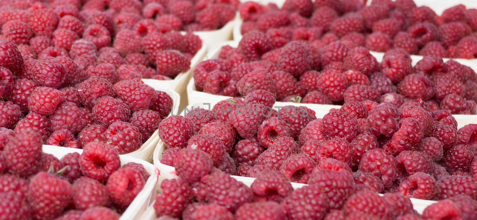 Red raspberries in containers on the market. Several servings of raspberries for sale