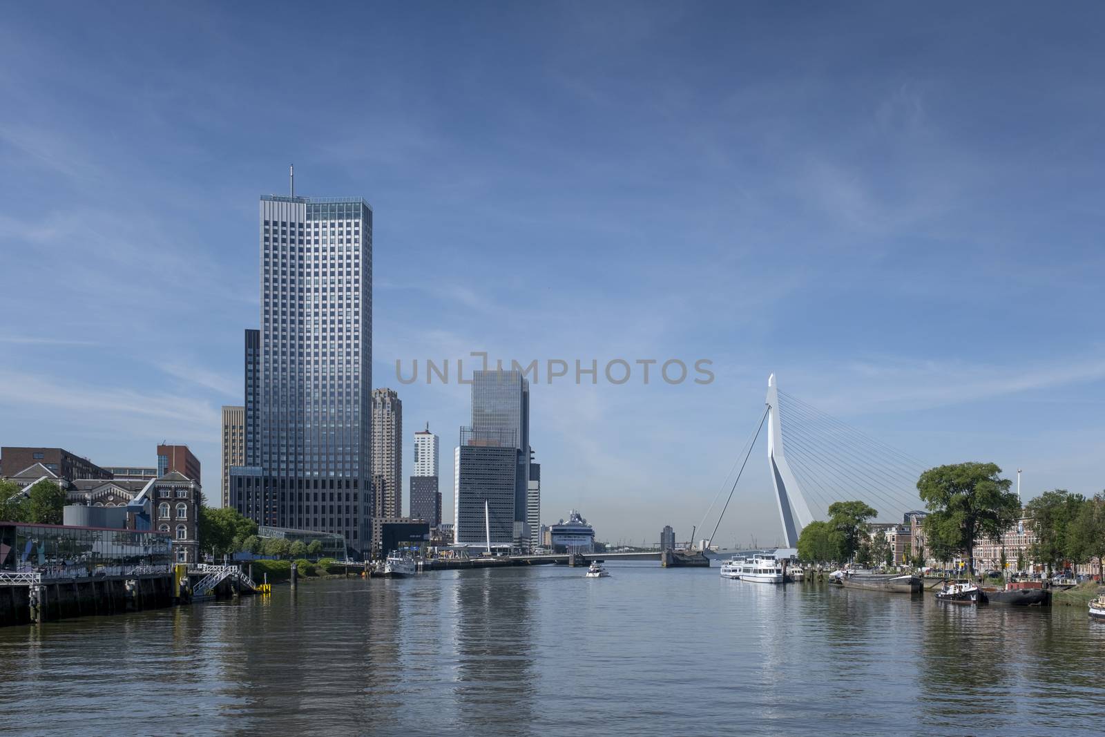 cityscape of Rotterdam with De Hef on the left and the Erasmus bridge by Tjeerdkruse