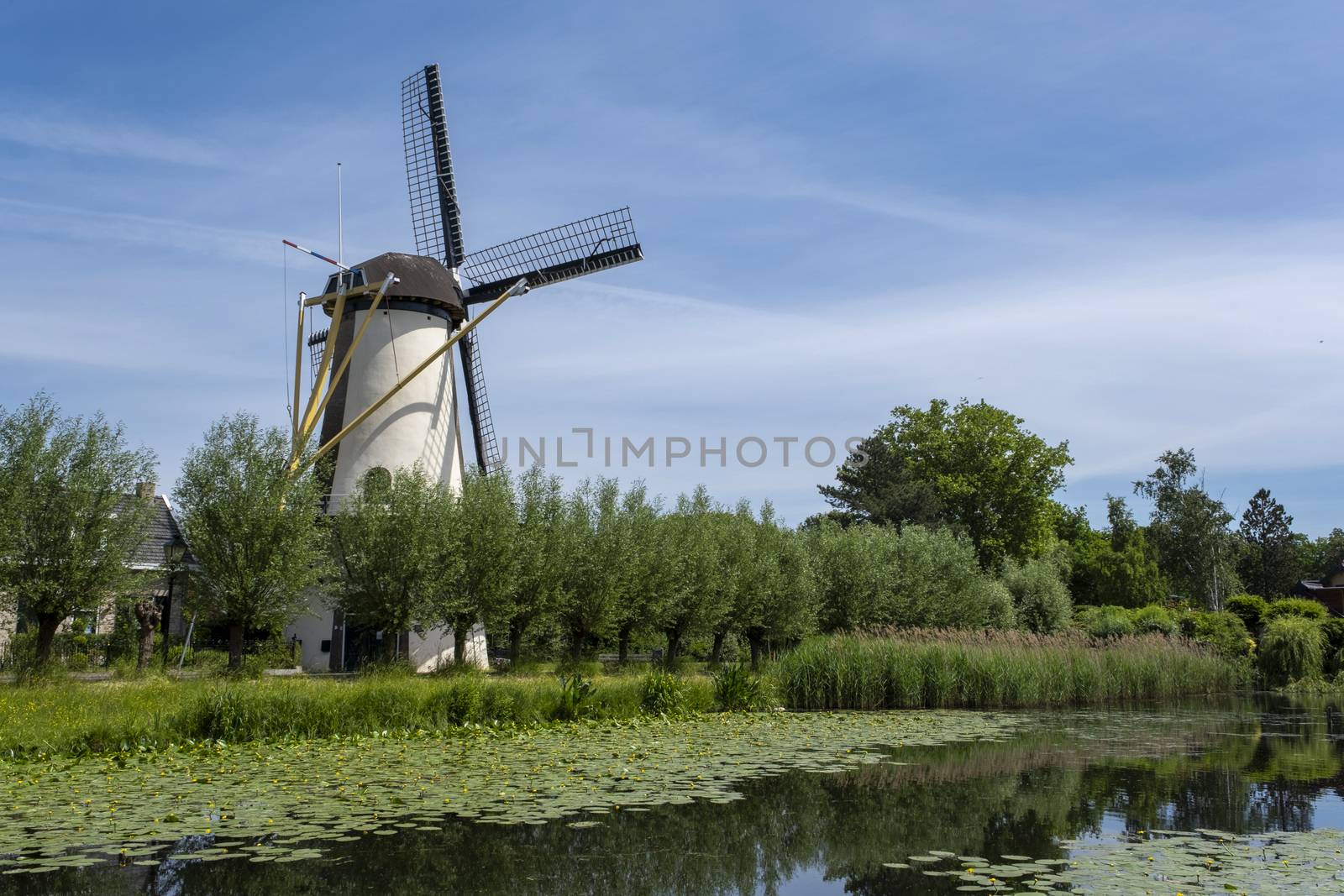 Windmill farm in summer in Netherlands. This wonderful windmill is located near Rotterdam in Holland