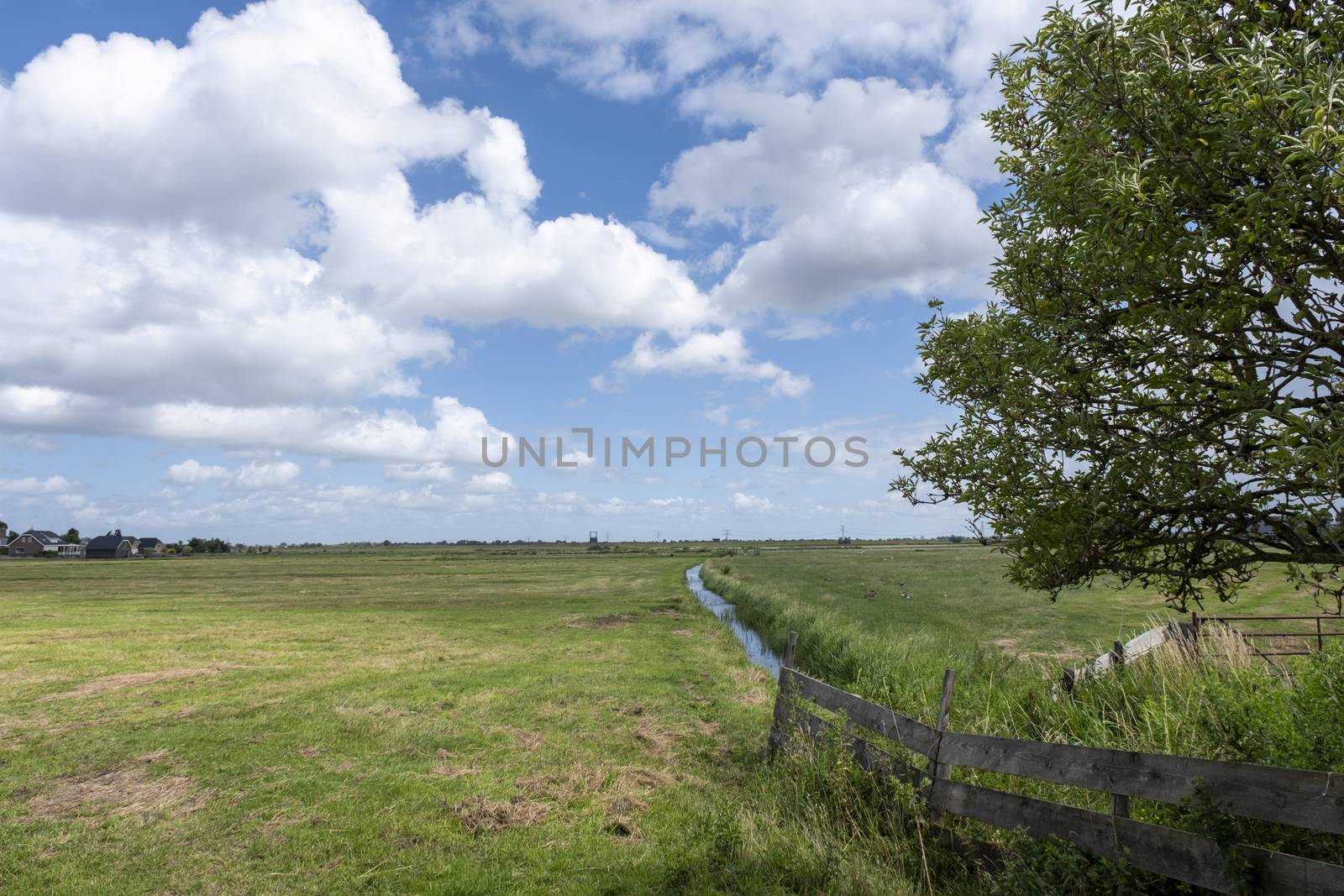 Dutch polder landscape early in the morning on a sunny day in the spring season by Tjeerdkruse