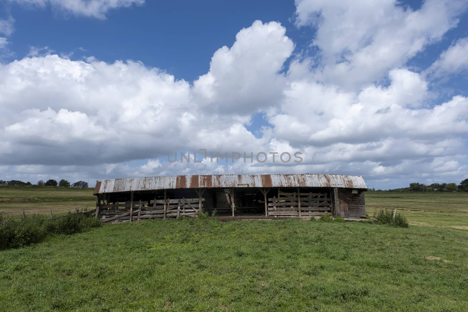 Old tundown stable in a meadow in the Netherlands