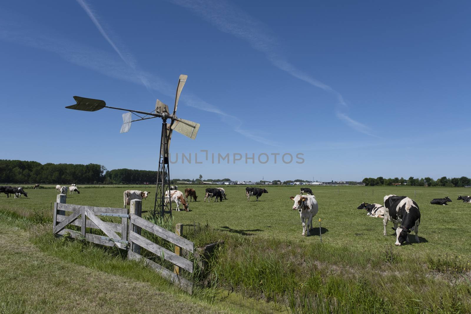 Simple metal windmill with four angled vanes curved into the wind stands on strong tall legs against a clear blue sky. The structure, rusty and chained, sits on a rural farm