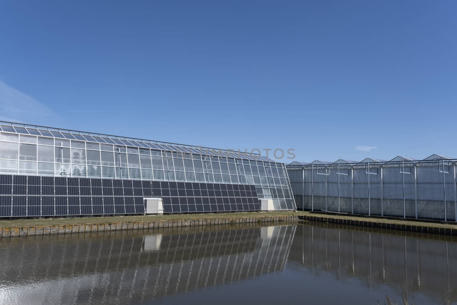 Great tomato nursery and greenhouse with summer sky in the Nethrlands