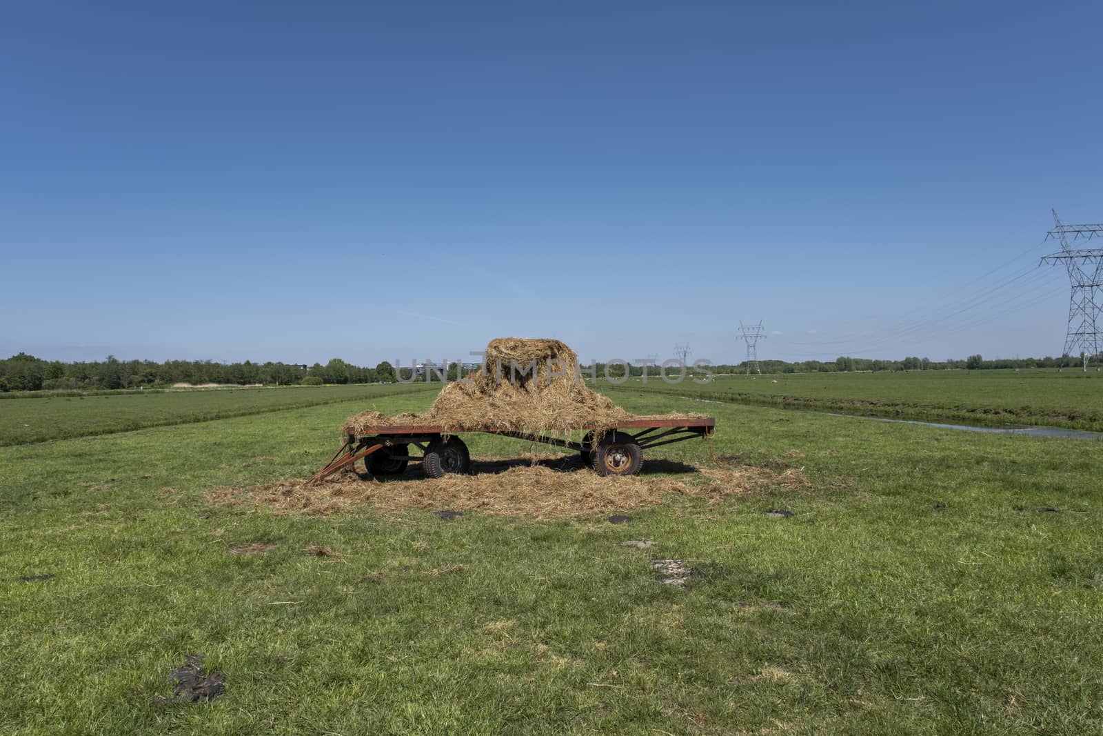 Old Hay Wagon in the Field against a blue sky in the netherlands by Tjeerdkruse