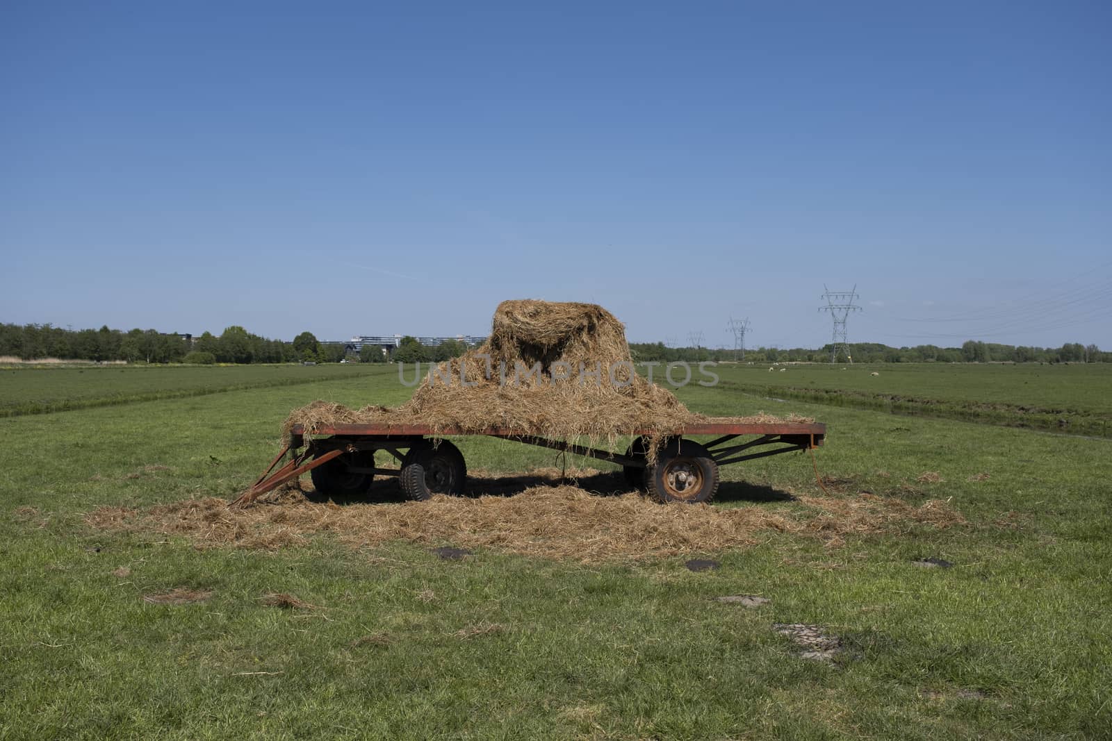Old Hay Wagon in the Field against a blue sky in the netherlands