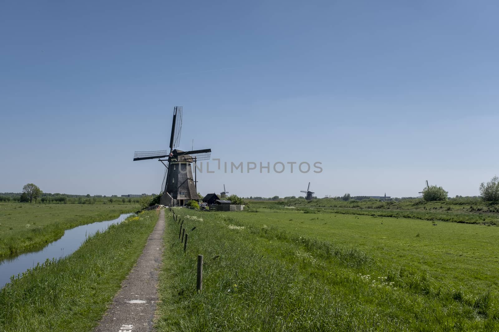 Landscape with beautiful traditional dutch windmills near the wa by Tjeerdkruse
