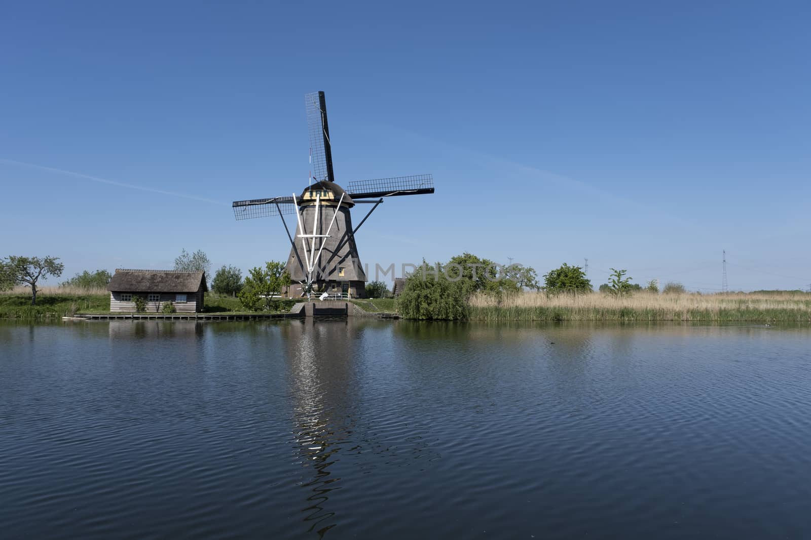 Netherlands rural lanscape with windmills at famous tourist site by Tjeerdkruse