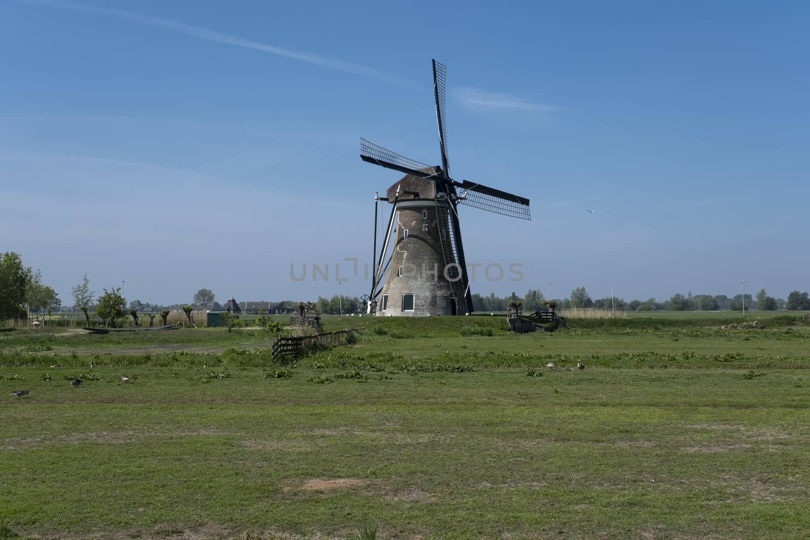 beautiful windmill landscape in the netherlands. Unesco Site.