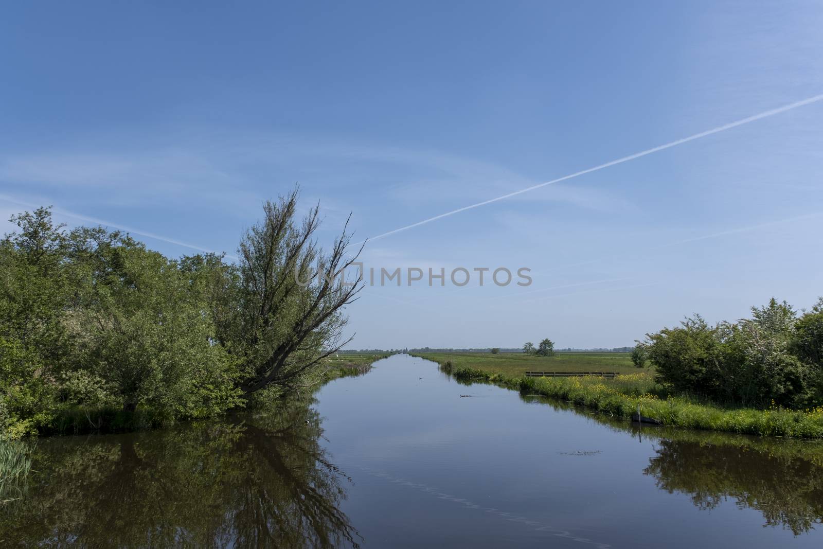 Dutch polder landscape early in the morning on a sunny day in the spring season