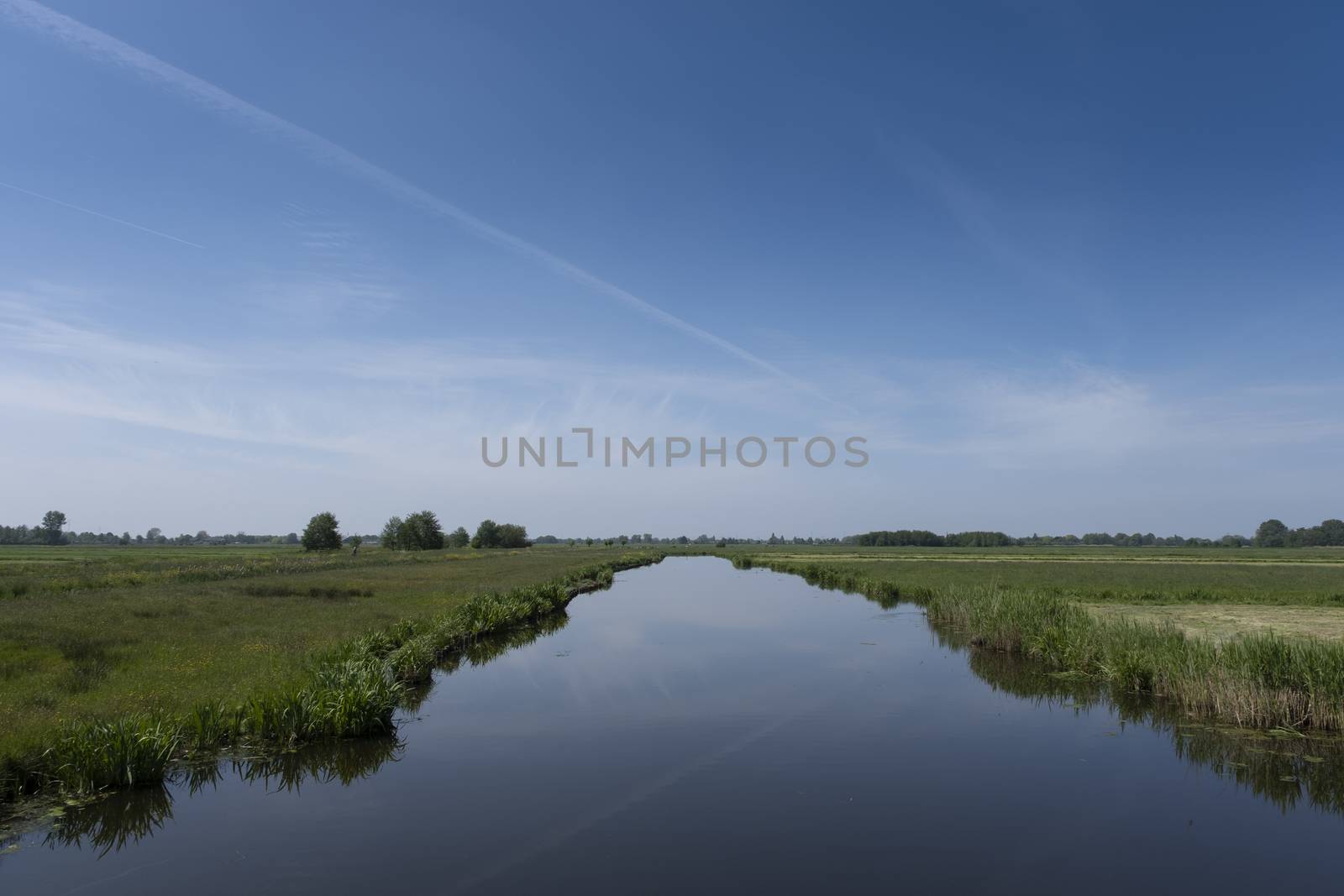 Dutch polder landscape early in the morning on a sunny day in th by Tjeerdkruse