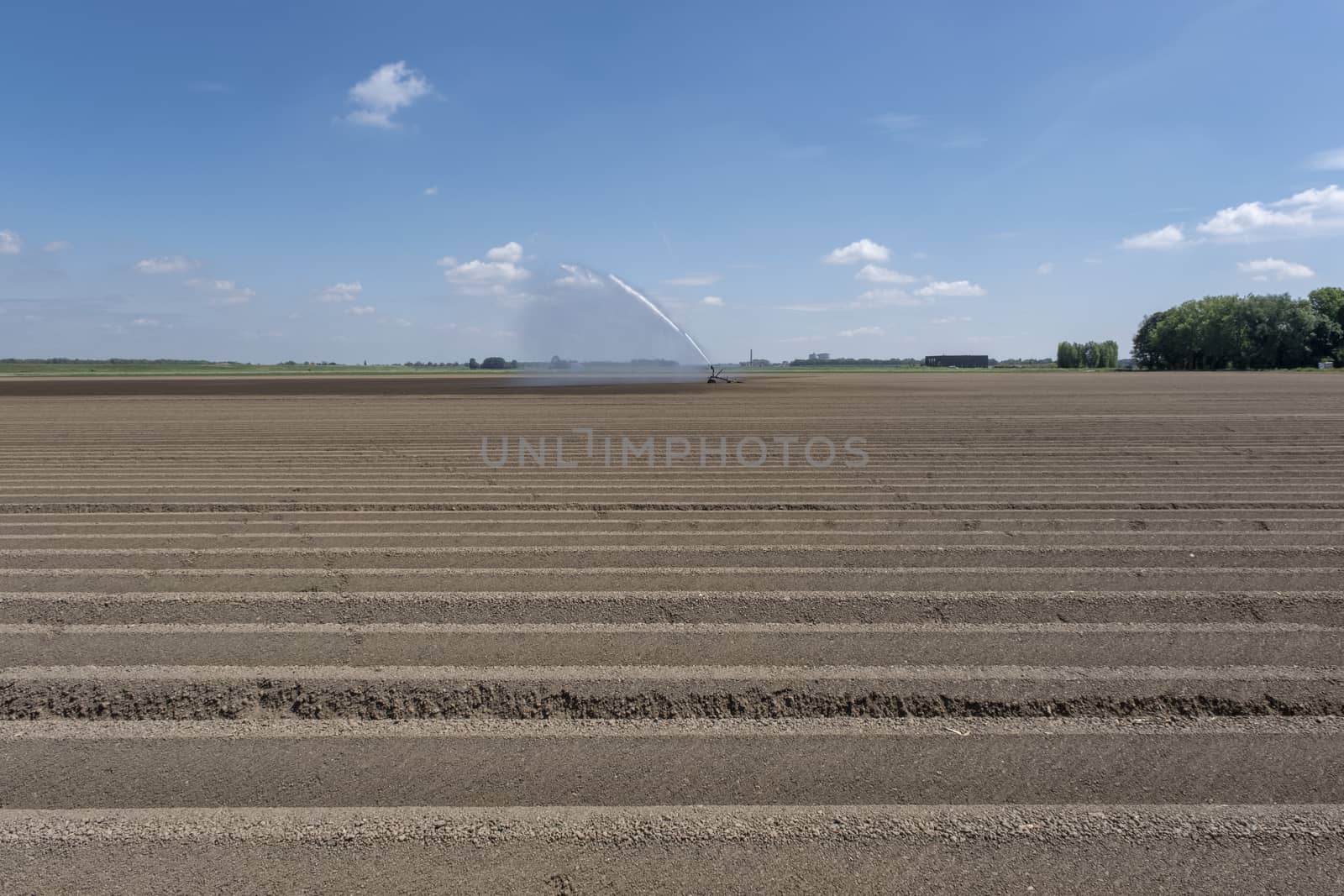 Watering system in the field. An irrigation pivot watering a fie by Tjeerdkruse
