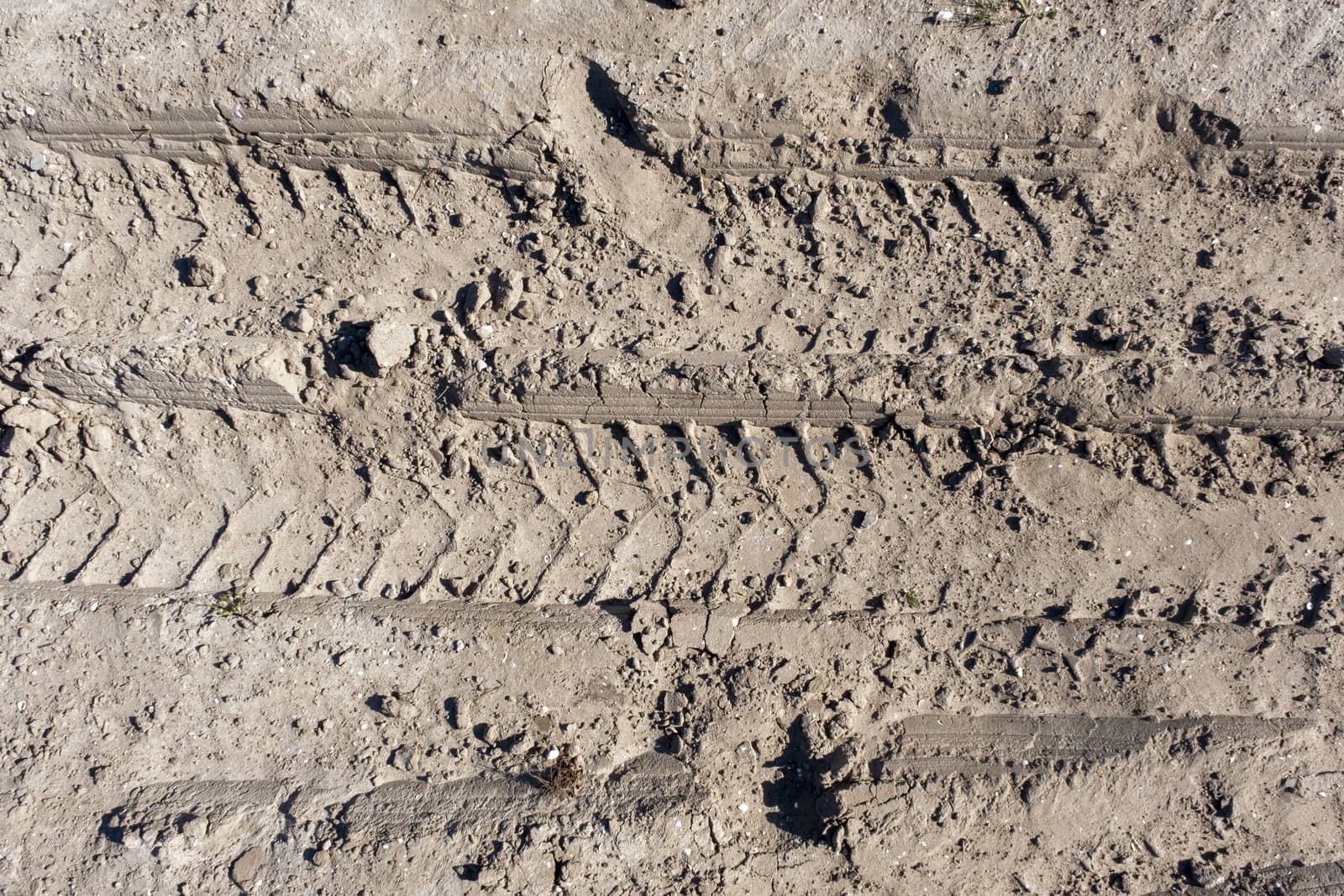 Wheel tracks in the mud, detail footprints Car by Tjeerdkruse