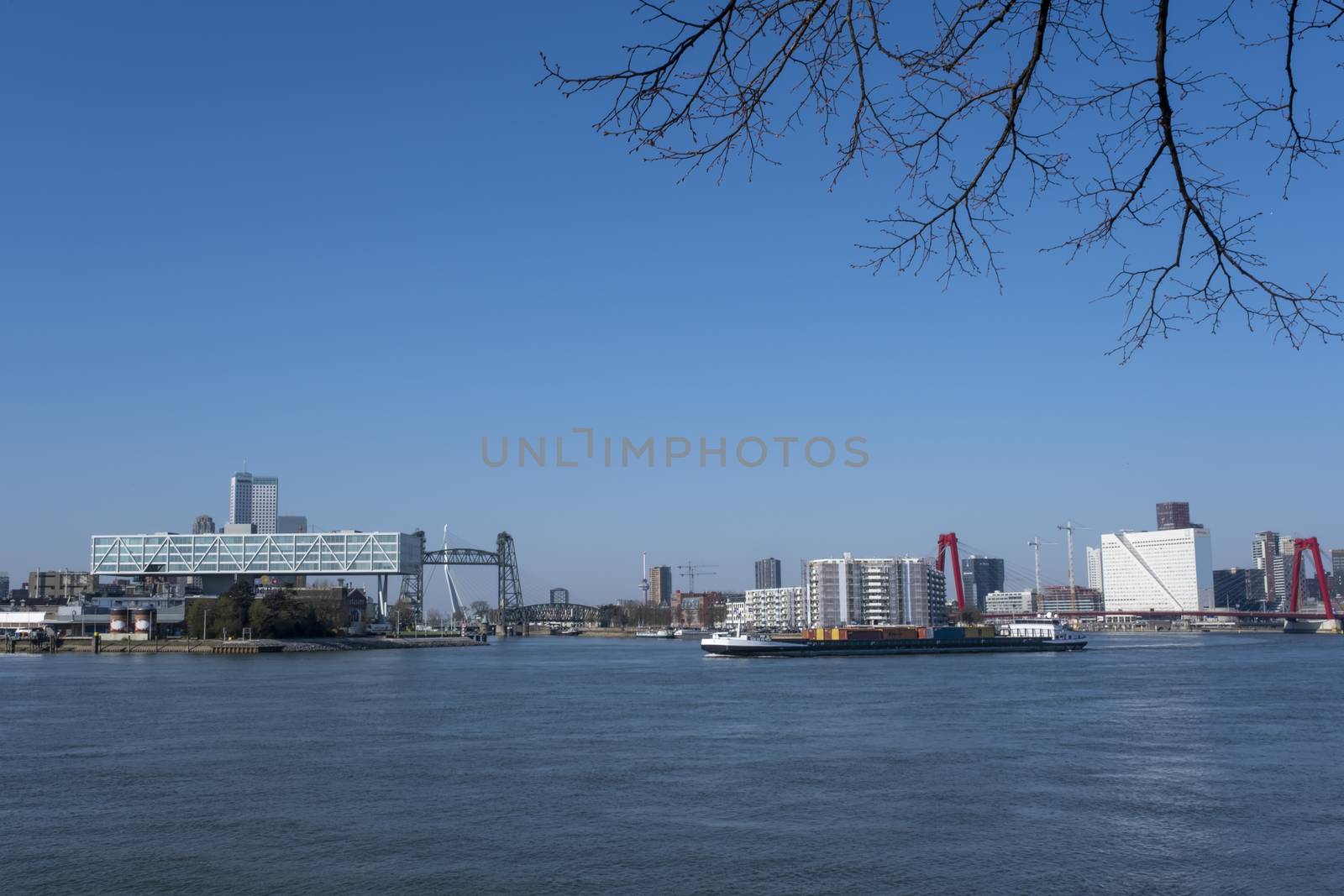panoramic view of the Erasmus bridge in the city and buildings of Rotterdam in the Netherlands Holland