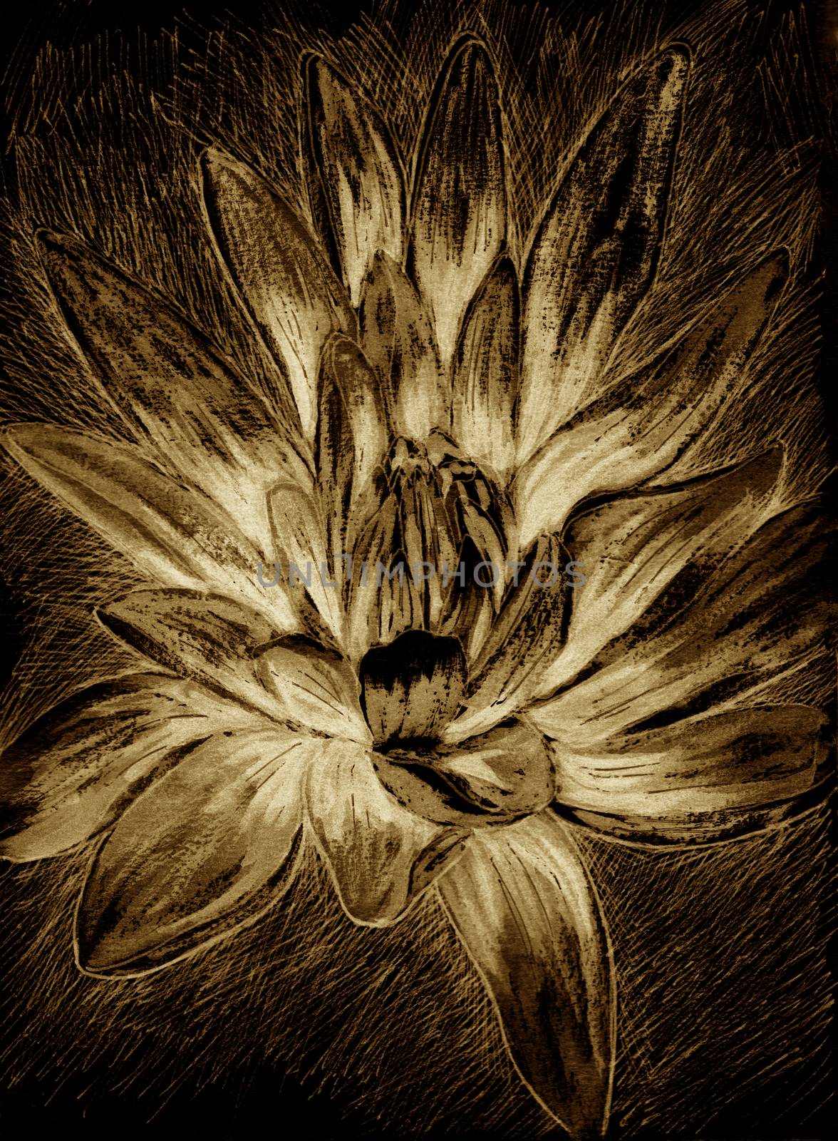 Exotic flower drawing. Hand-drawn illustration of magic lotus. Esoteric concept. Dark background, brown, sepia, beige colors.