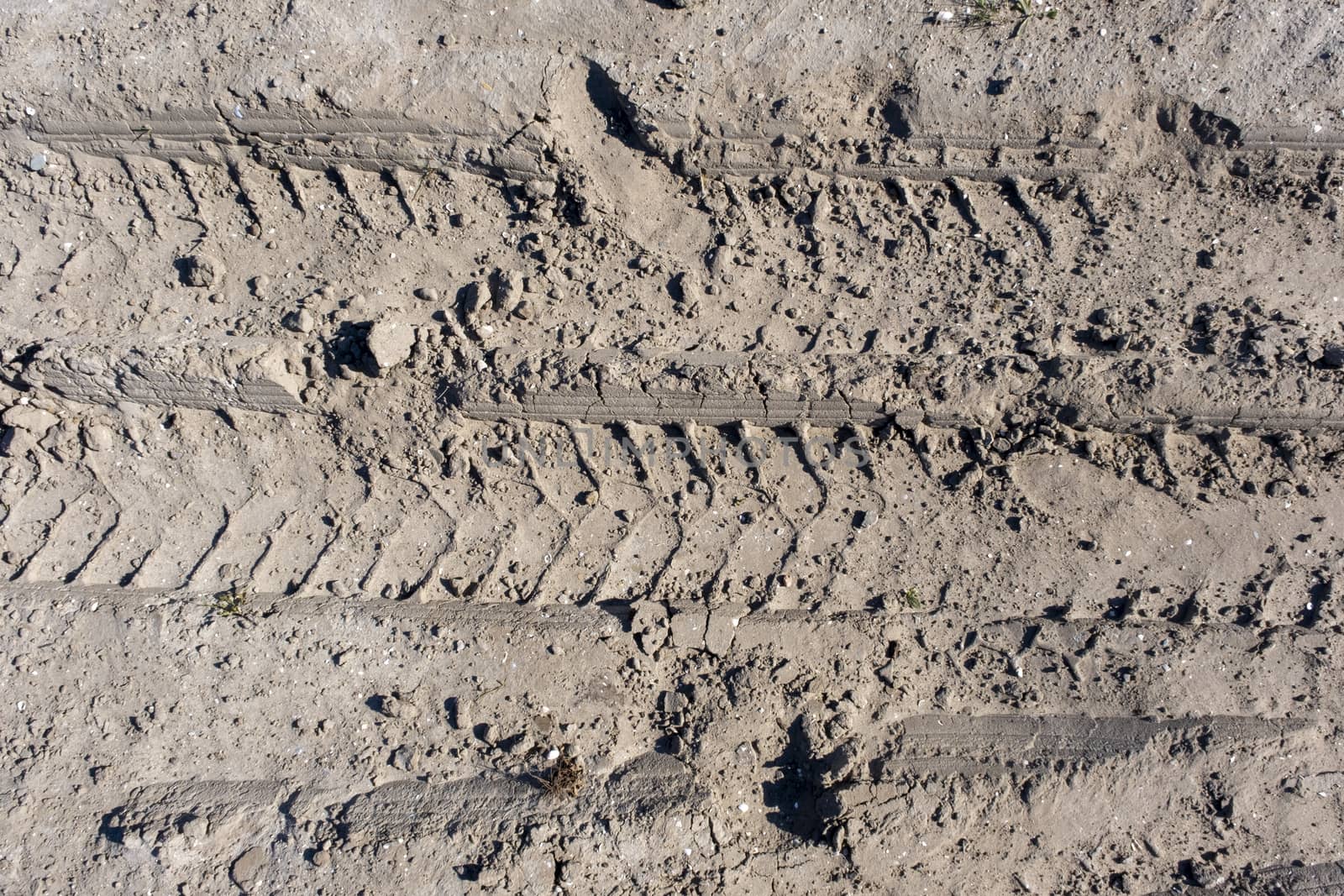 Wheel tracks in the mud, detail footprints Car by Tjeerdkruse