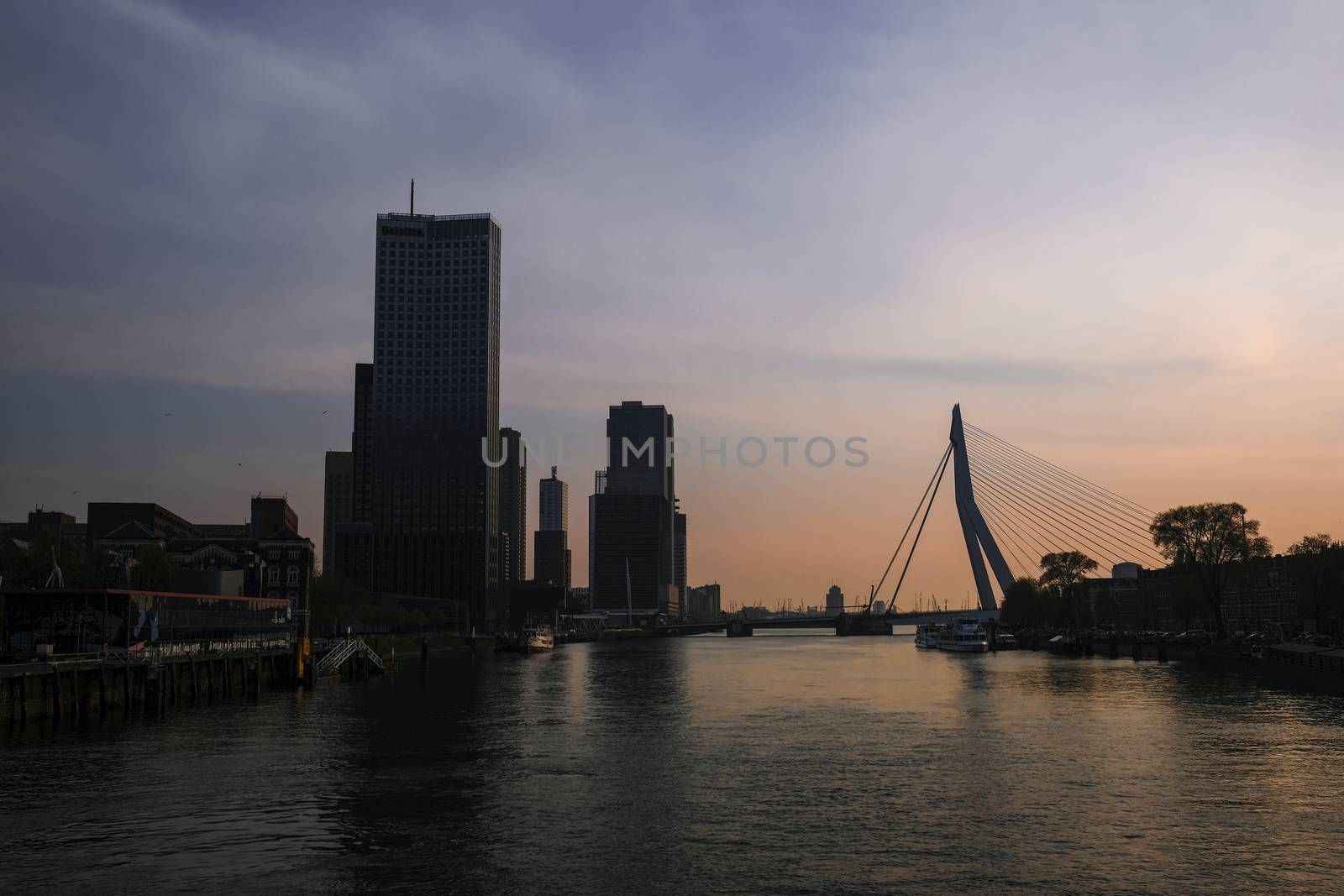 City of Rotterdam_Skyline with Erasmusbrug bridge at sundown in evening in Rotterdam, Netherlands