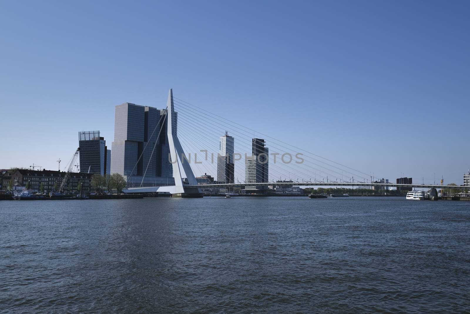 panoramic view of the Erasmus bridge in the city and buildings of Rotterdam in the Netherlands Holland