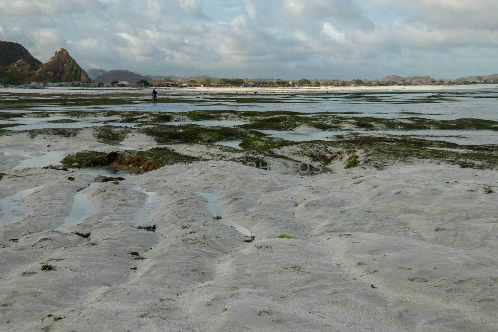 Patterns made by tide pools of water at low tide on Tanjung Aan beach, Lombok, Indonesia.