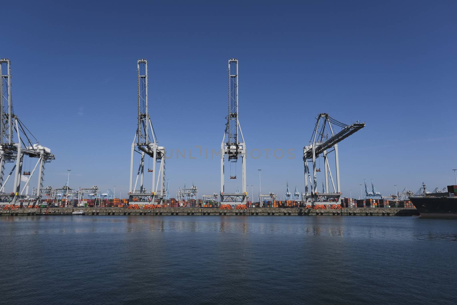 Huge cranes and ships anchored at harbor. International commercial port, city of Rotterdam background. Logistics business