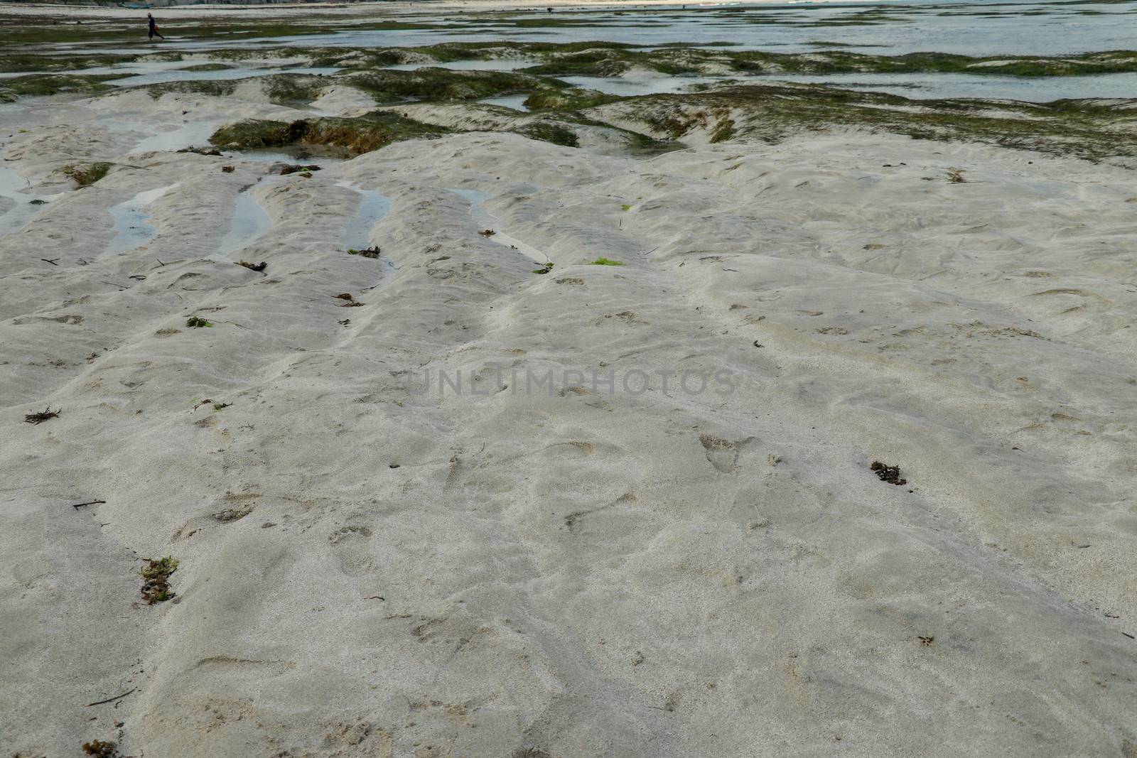 Patterns made by tide pools of water at low tide on Tanjung Aan beach, Lombok, Indonesia.