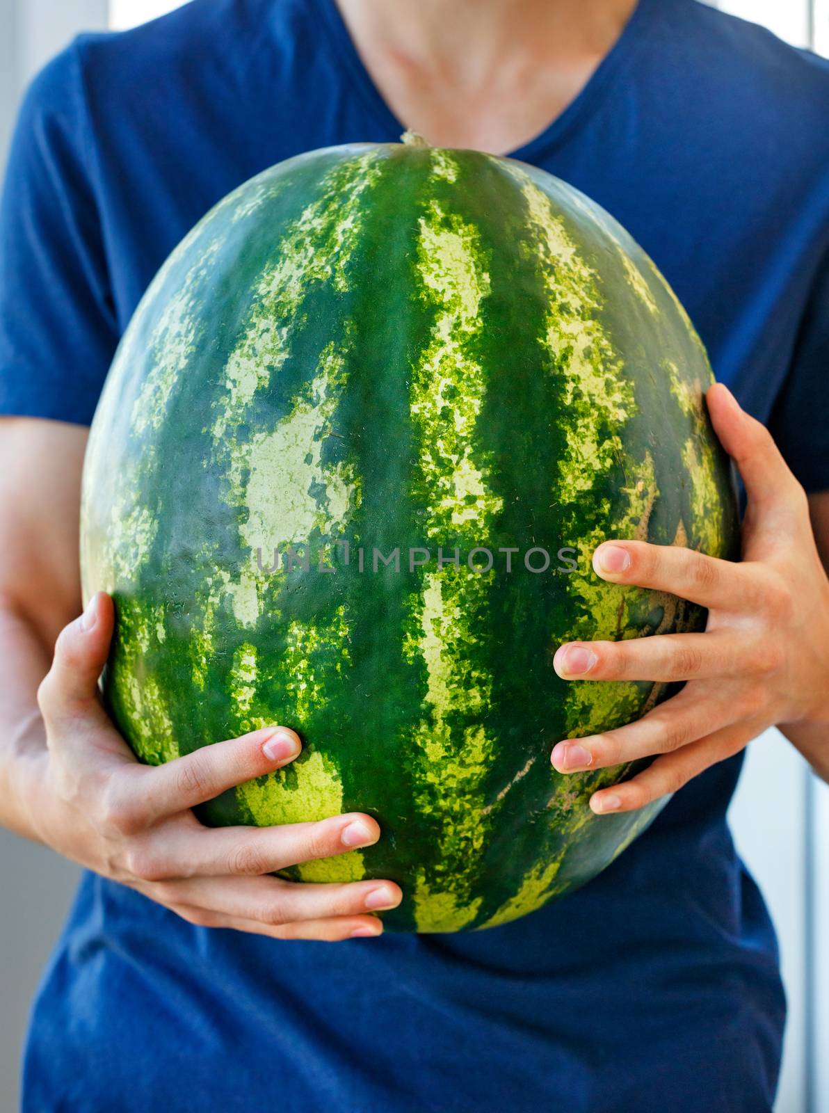 A huge ripe green striped watermelon in the hands of a young man in a blue T-shirt.