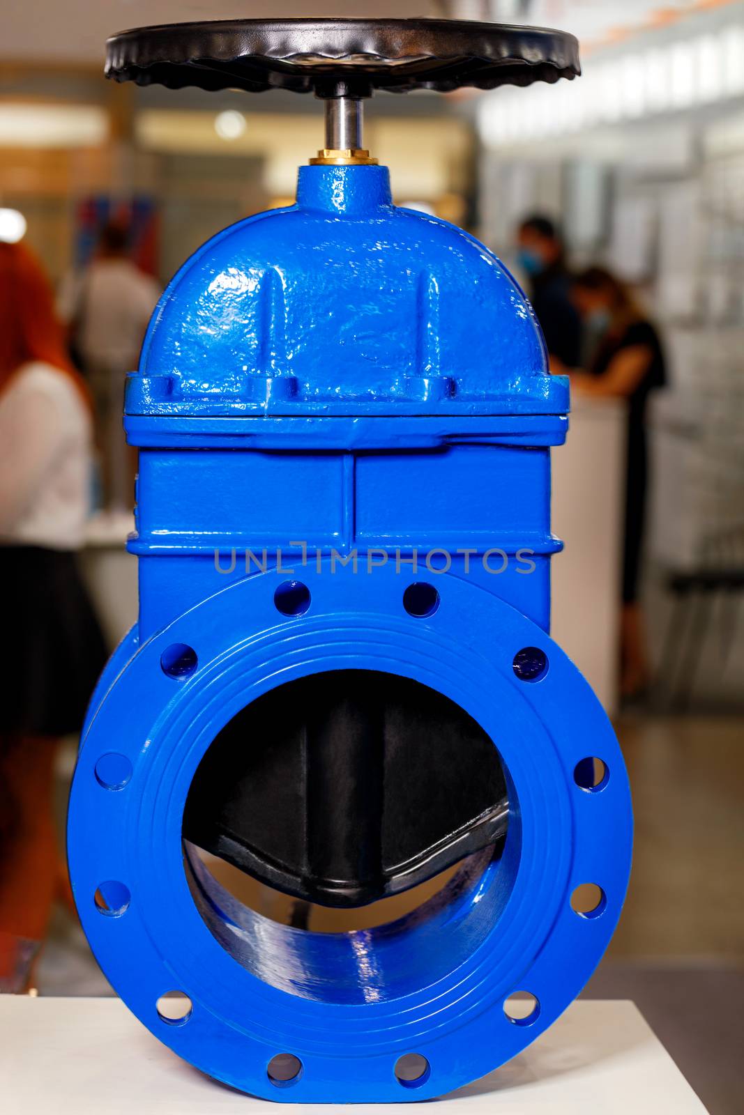 Cast iron metal shut-off industrial gate valve with a rubber wedge. by Sergii