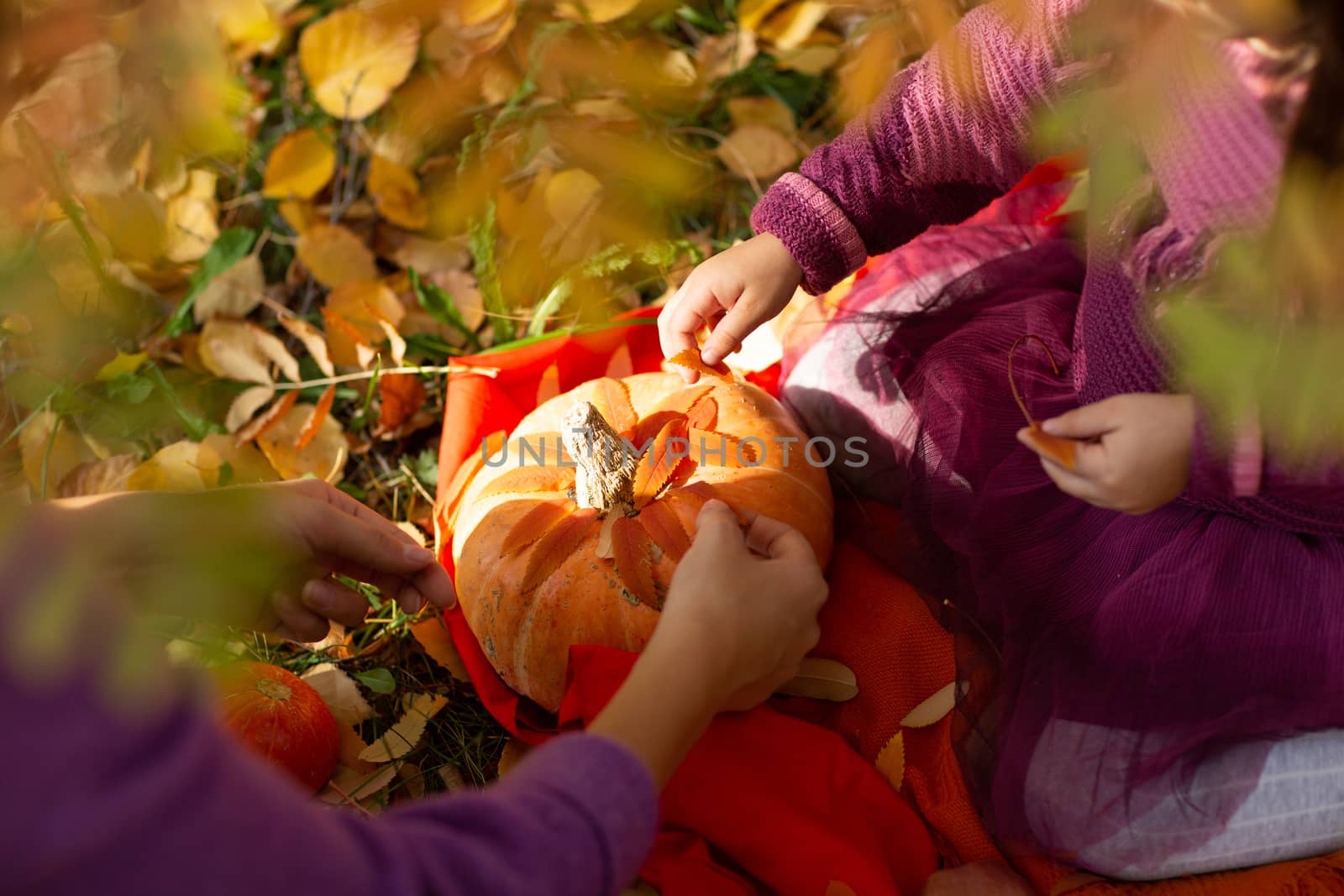 Cute little girl in autumn park with orange color leaves and yellow pumpkin. by primipil