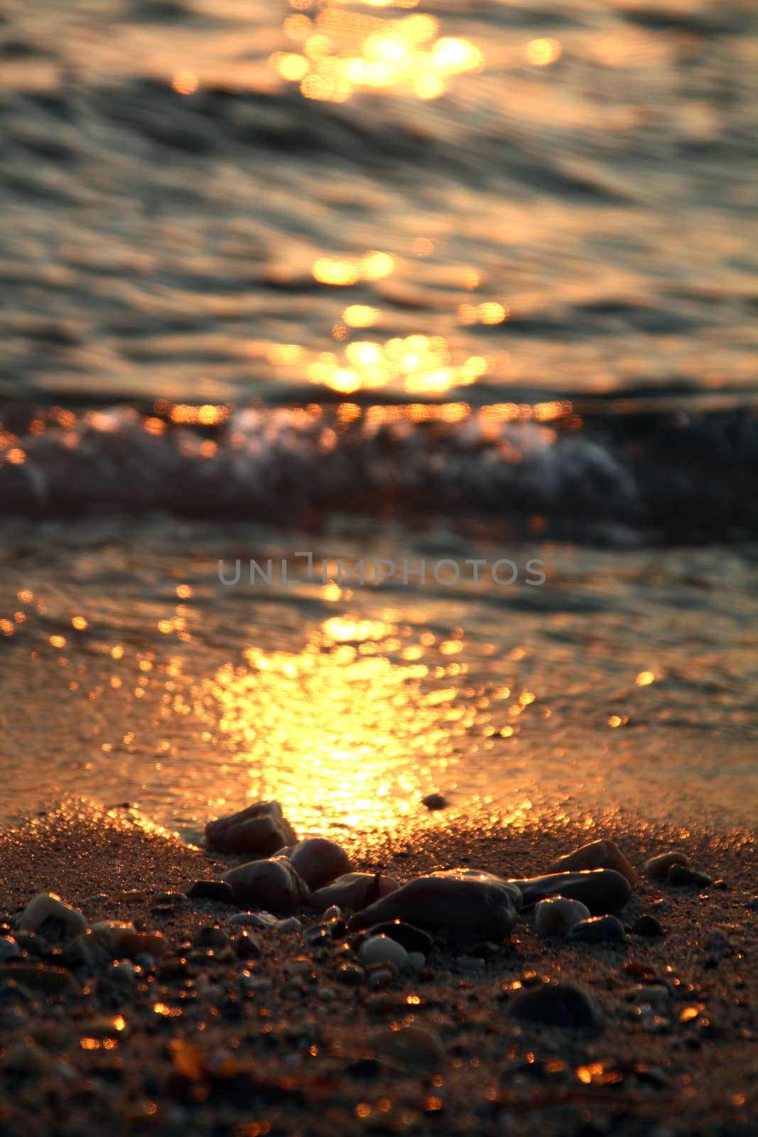 stones macro close up gold sunset beach