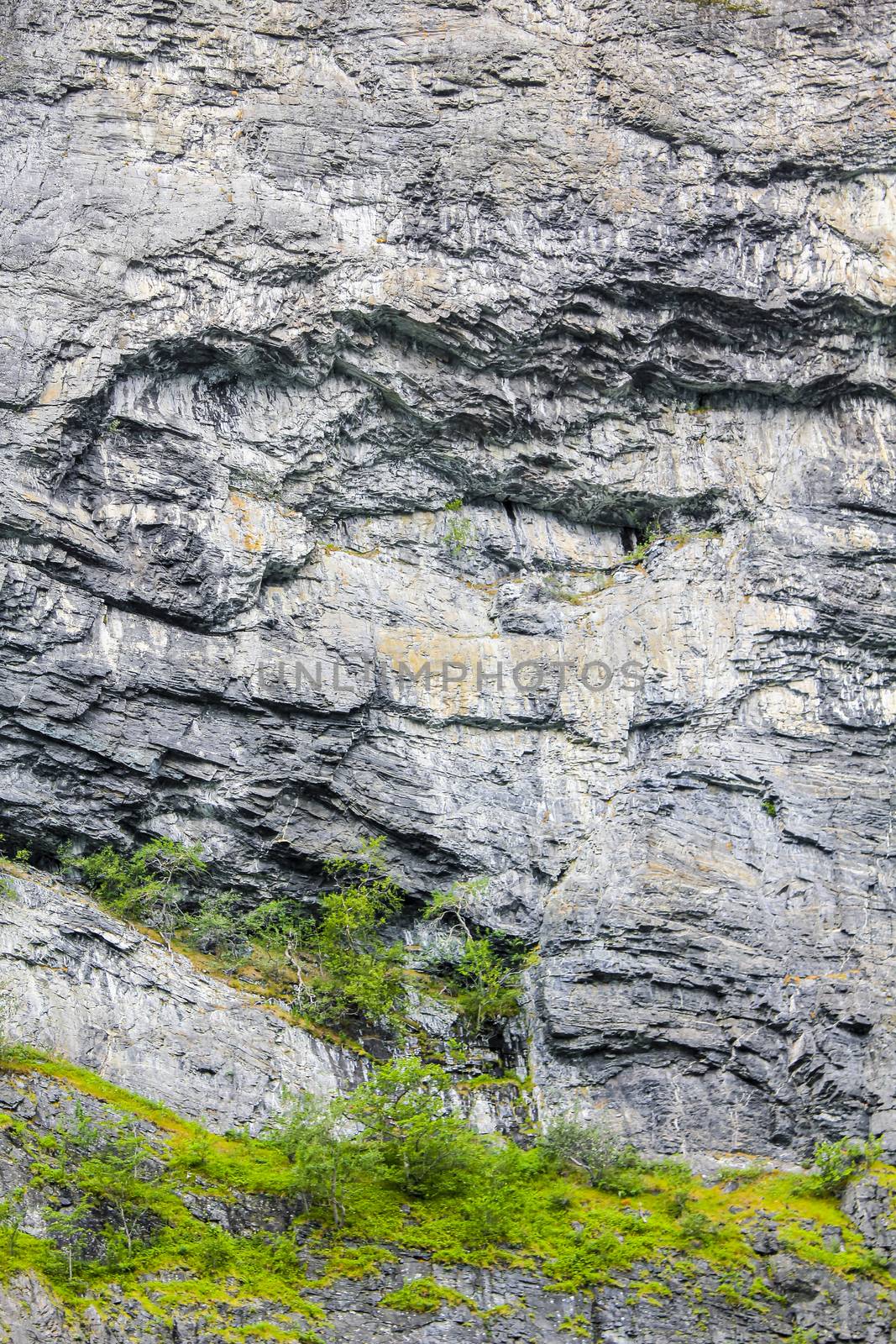 Big rocks cliffs texture with trees in Norway. by Arkadij