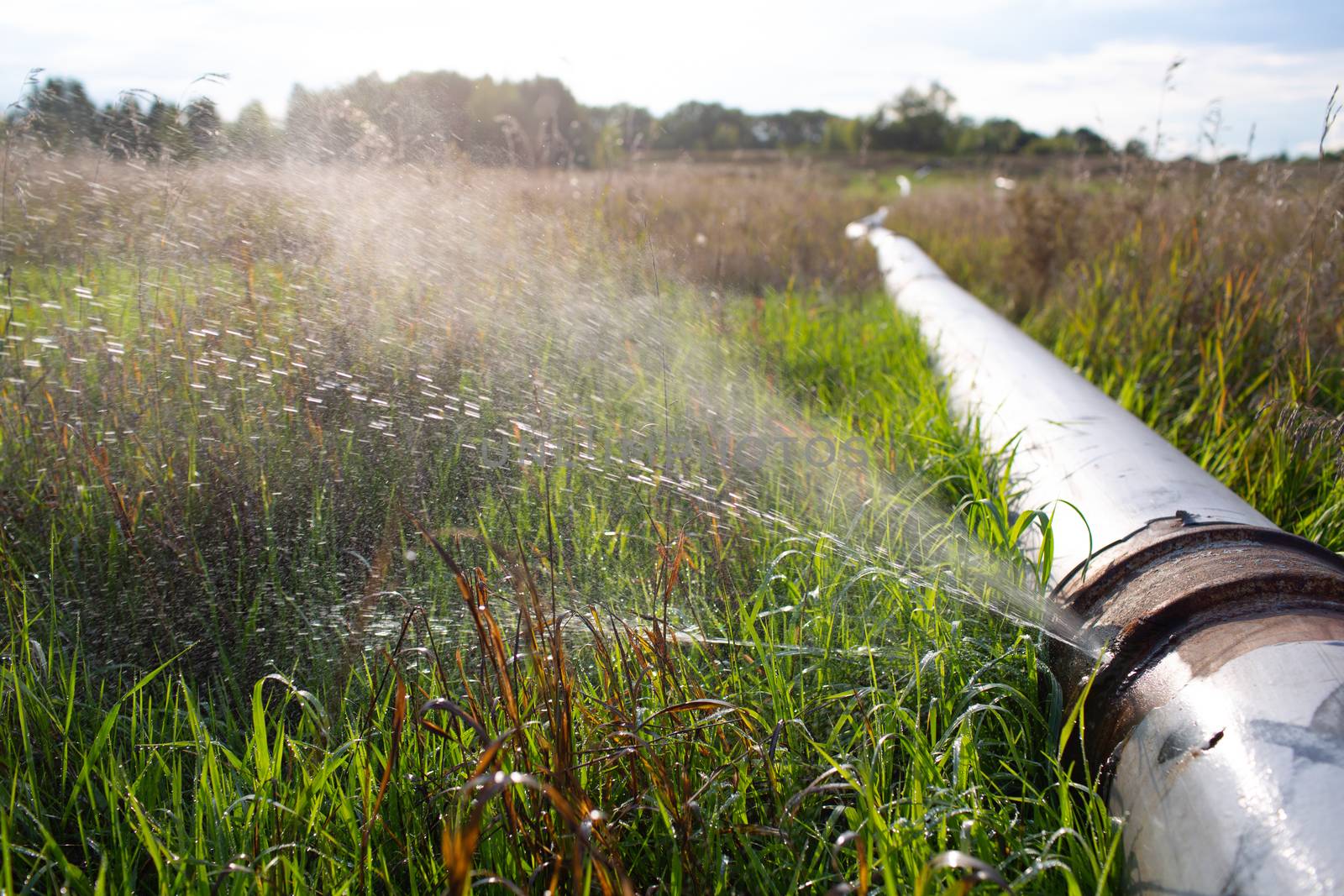 Leaking Water Pipe with Jet from Hole at Outdoor Field by primipil