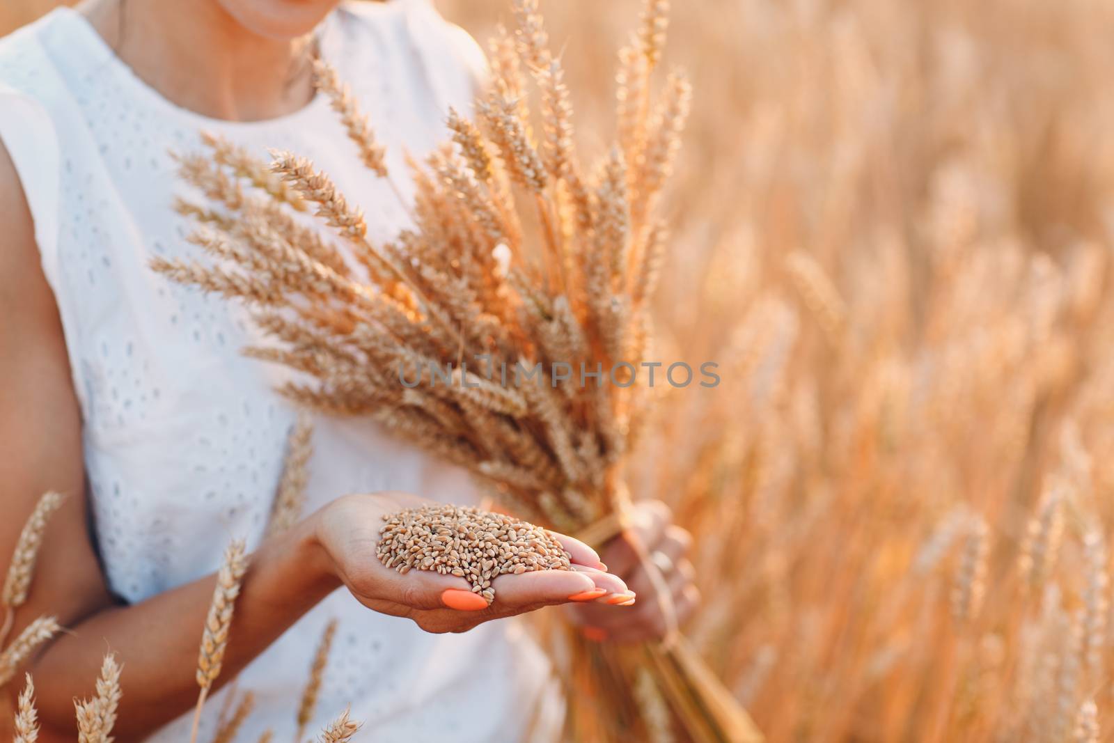 Woman holding sheaf of wheat ears at agricultural field.