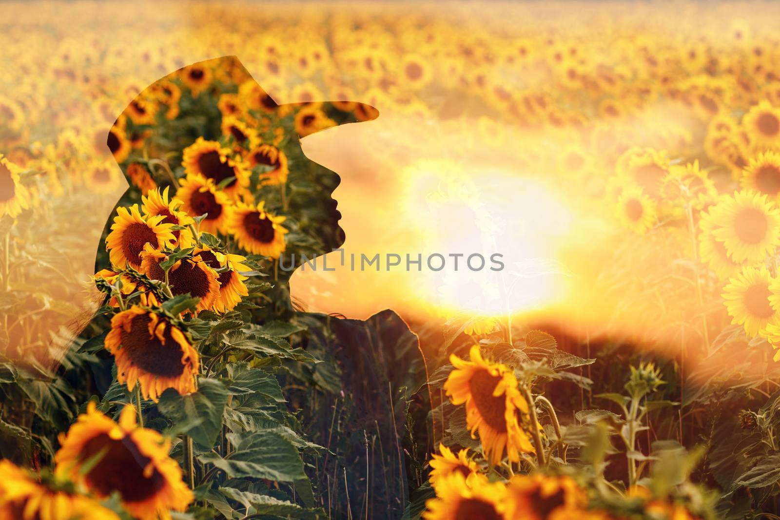 Farmer or agronomist woman multiple exposure profile portrait at sunflower field.