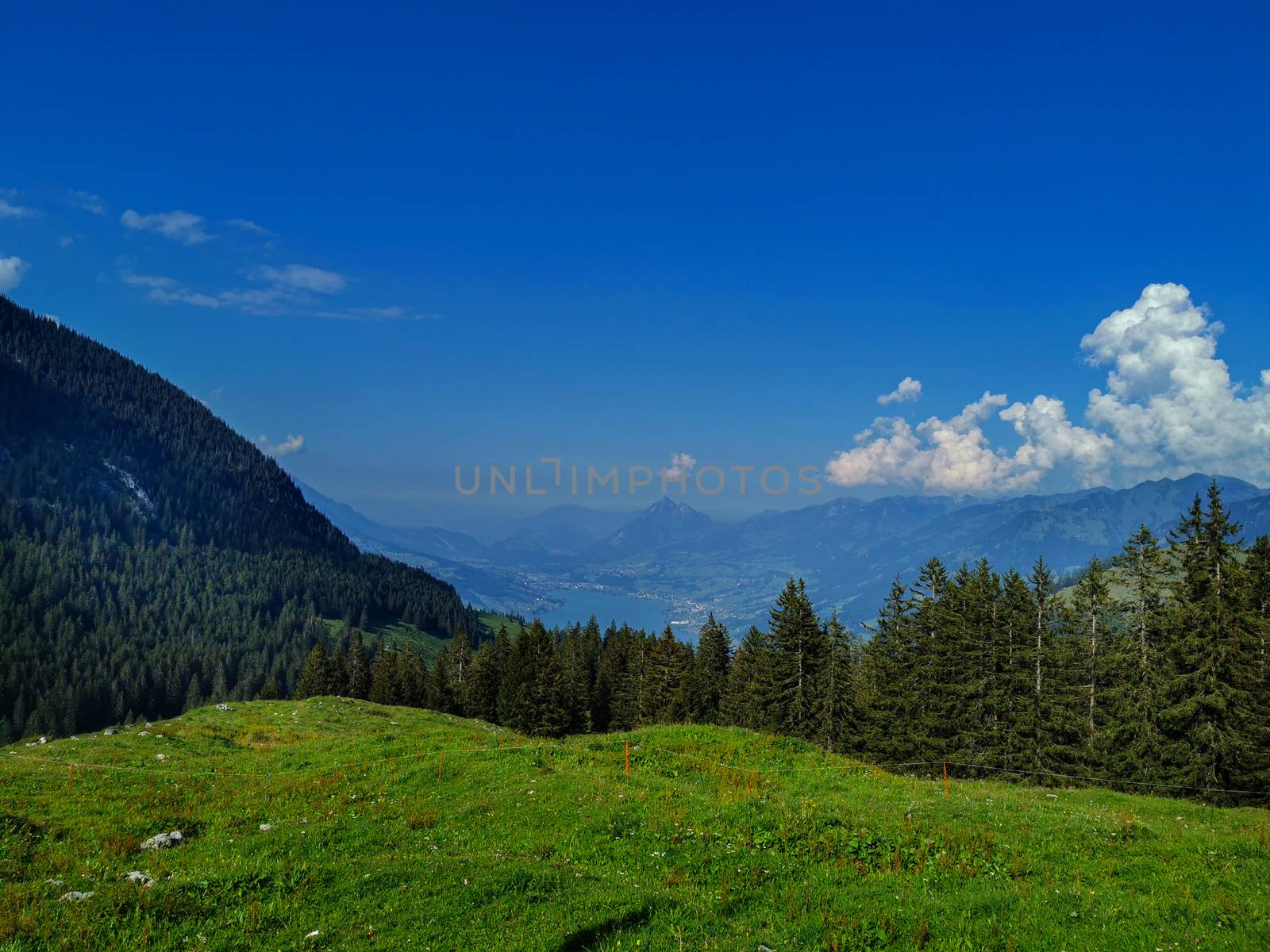 View on the Alps in Sarnen in Switzerland. Swiss Alps by PeterHofstetter