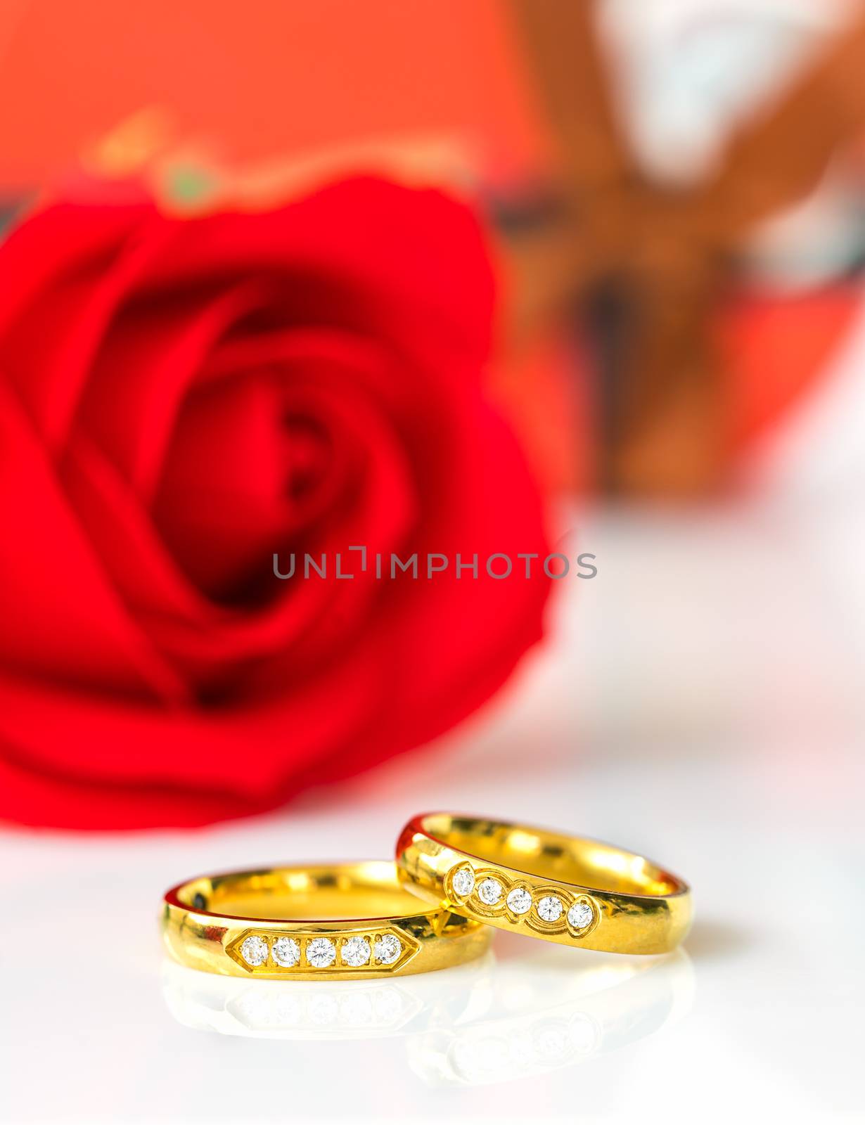 Red roses and gold rings on white  by stoonn