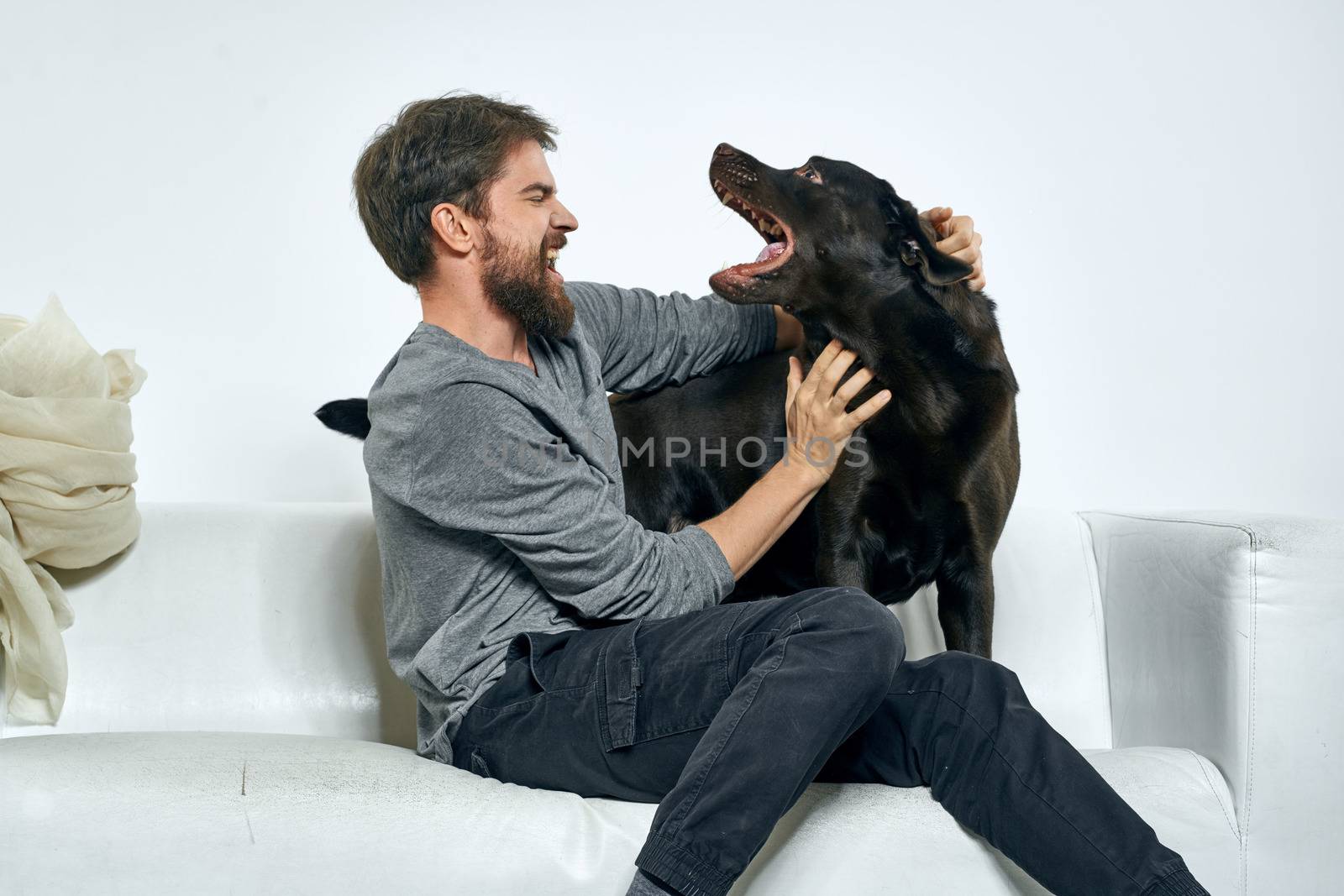 Happy man and dog on the couch In a bright room pet is a friend of man. High quality photo