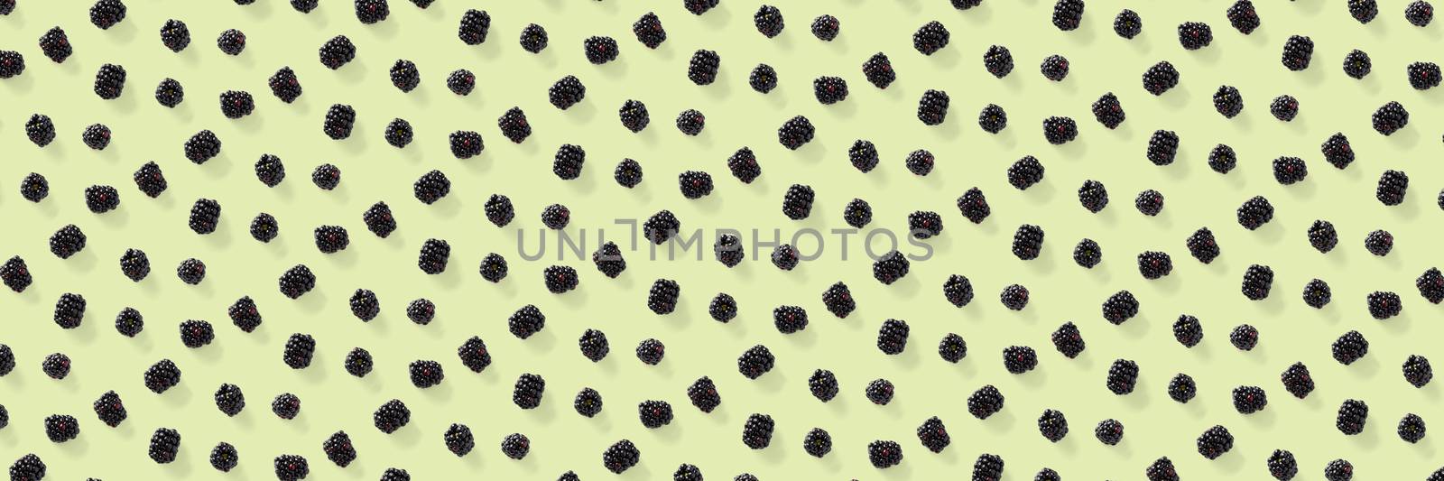 Background from isolated brambles. Group of tasty ripe blackberry isolated on green background. modern crative backround of falling blackberry or bramble.