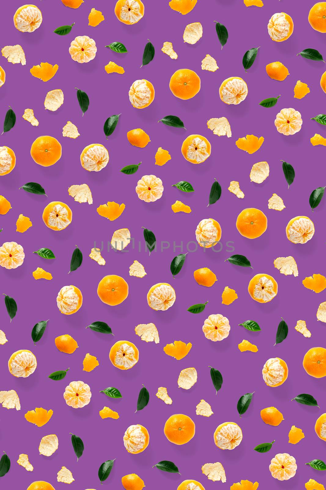 Isolated tangerine citrus collection background with leaves. Whole tangerines or mandarin orange fruits isolated on purple background. mandarine orange background not pattern