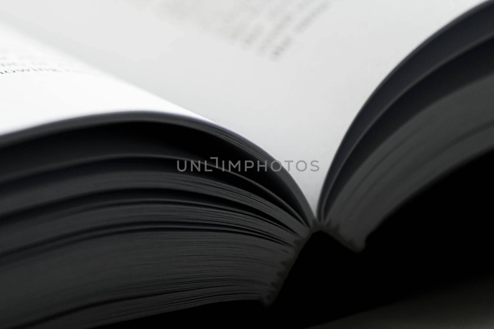 Macro closeup of an open book, education and studies