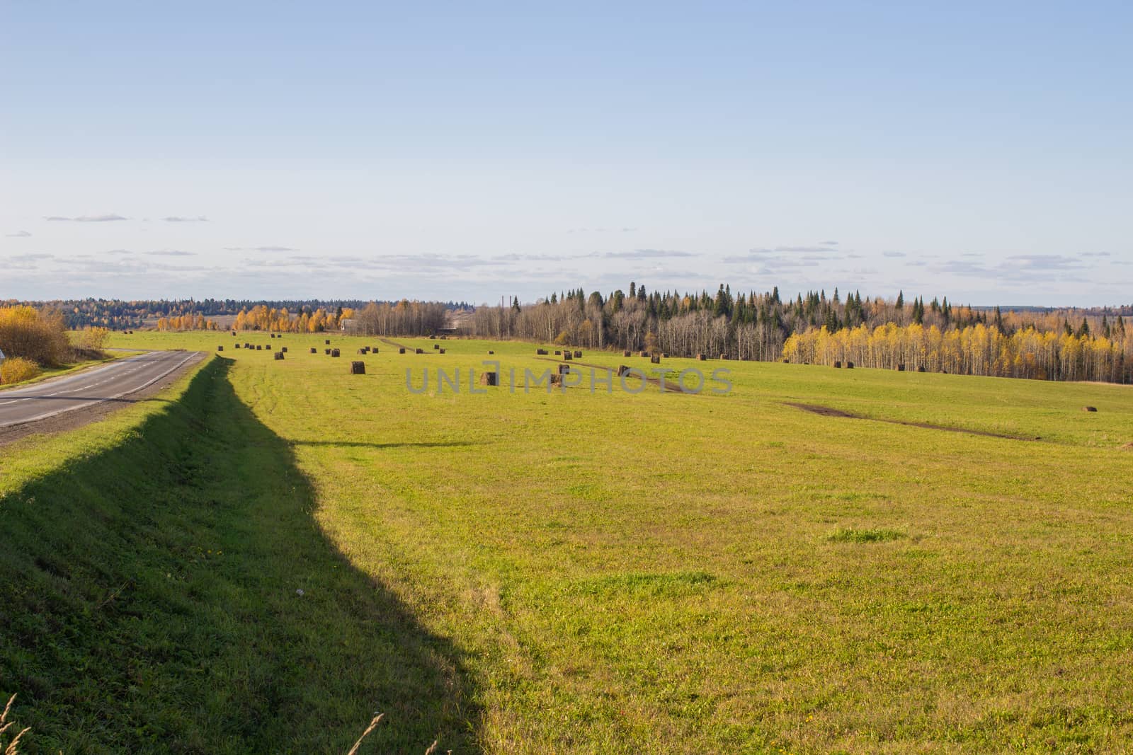 Hay bales in the field in autumn. Agricultural field with sky. panorama. The rural nature of farms. Straw in the meadow. Rural natural landscape. The grain harvest, and harvesting.