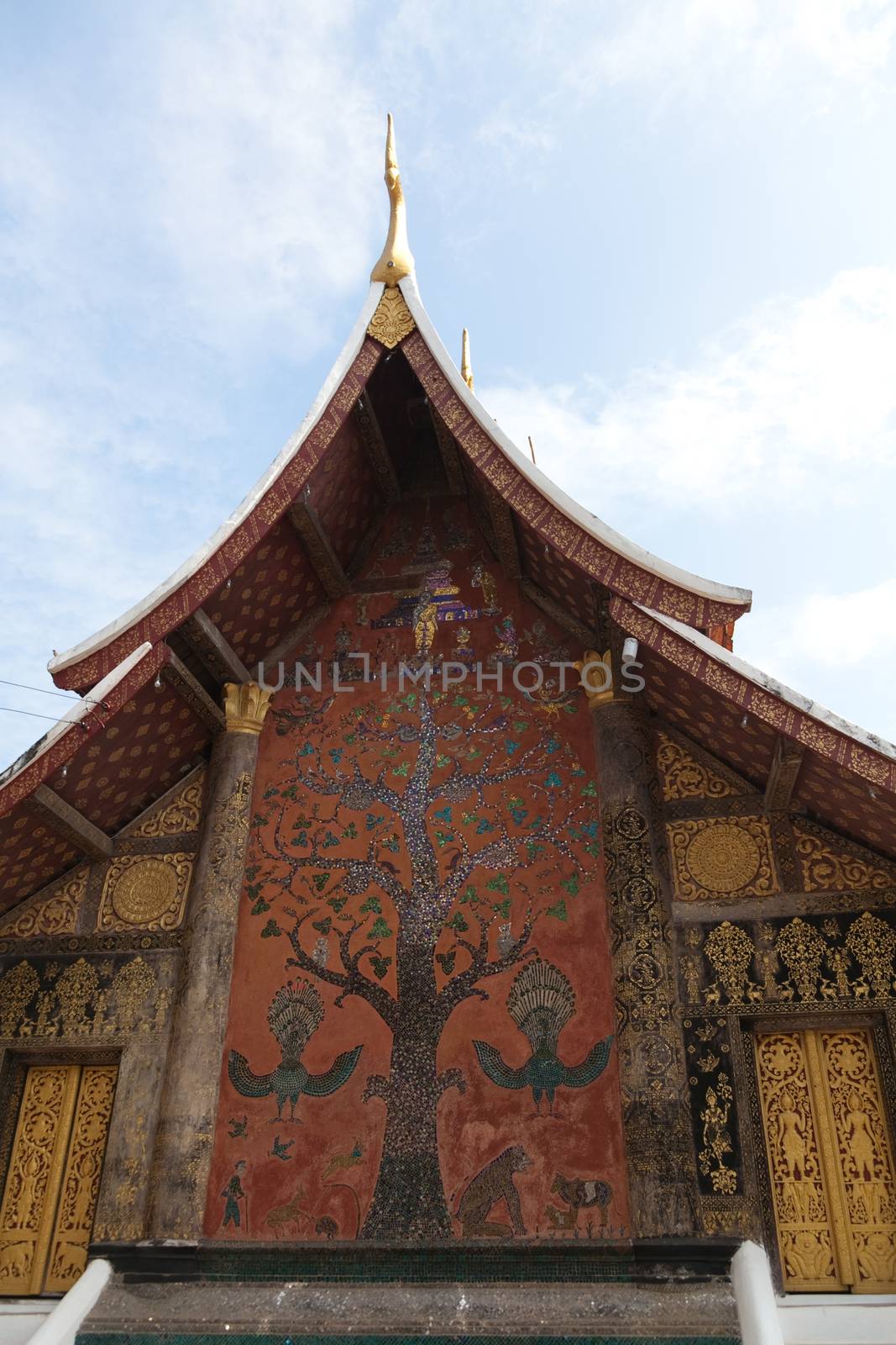 Temples at Luang Prabang Laos with Buddha statues and detailed golden shrines by kgboxford