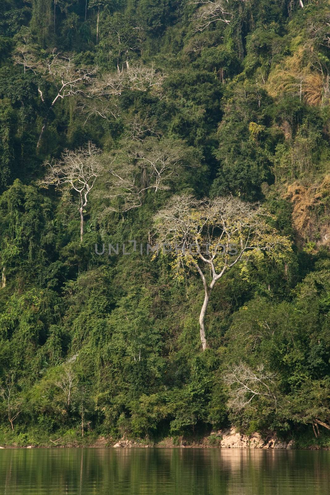 Nam Ou River, boats and landscape with mountains and riverside villages. High quality photo