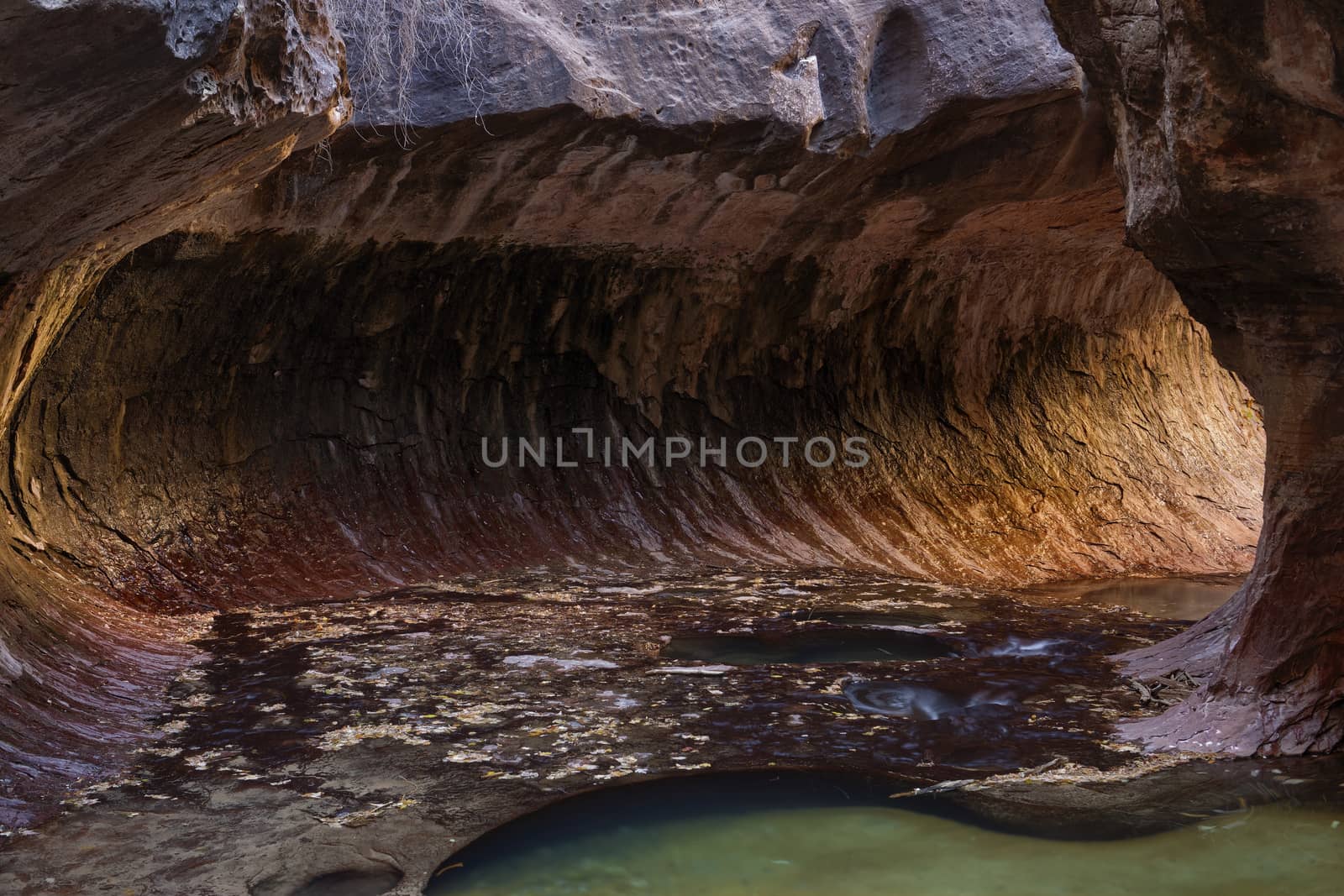 The Subway, Zion National Park by emiddelkoop