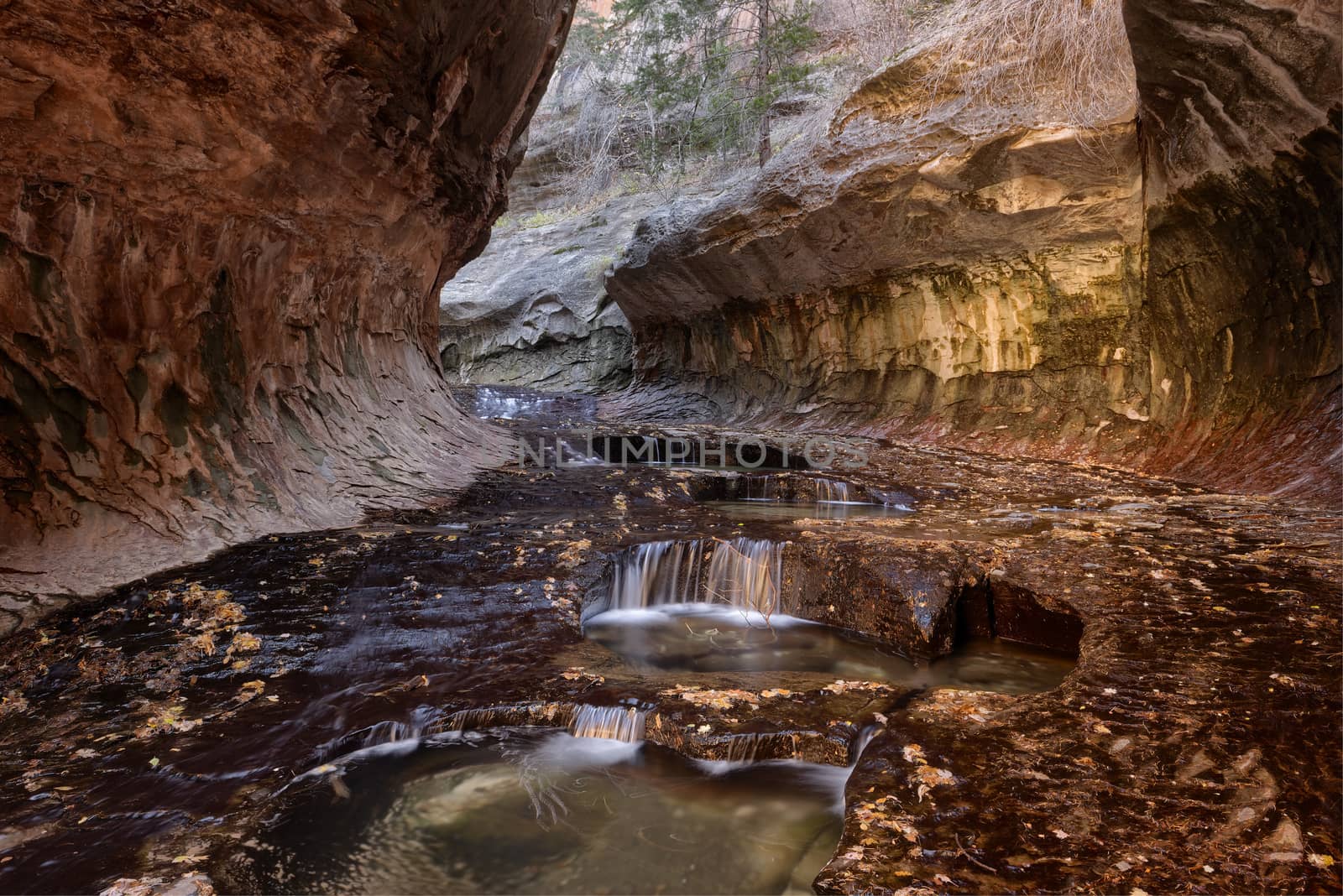 Entrance to The Subway, Zion National Park by emiddelkoop